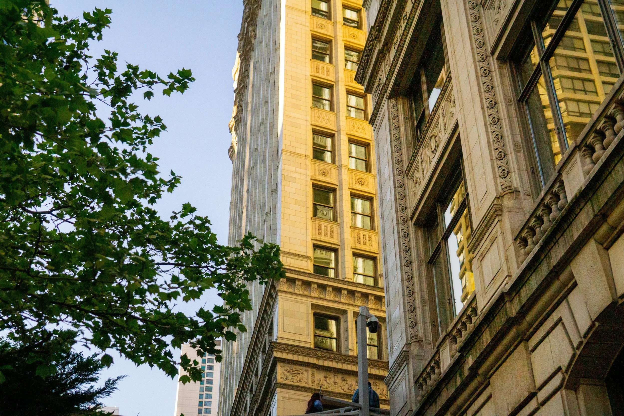 View from street level looking up at the exterior of commercial buildings from the early 1900s includes tree limb on left side, a smaller building's windows on the right, and the corner of a 10 story building's windows in the center