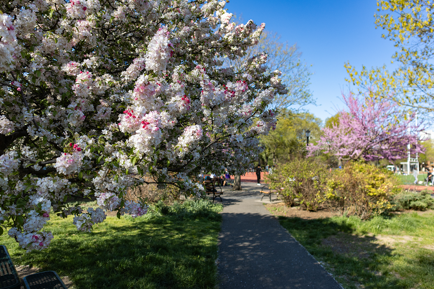 WEB_AdobeStock_629239660.png
