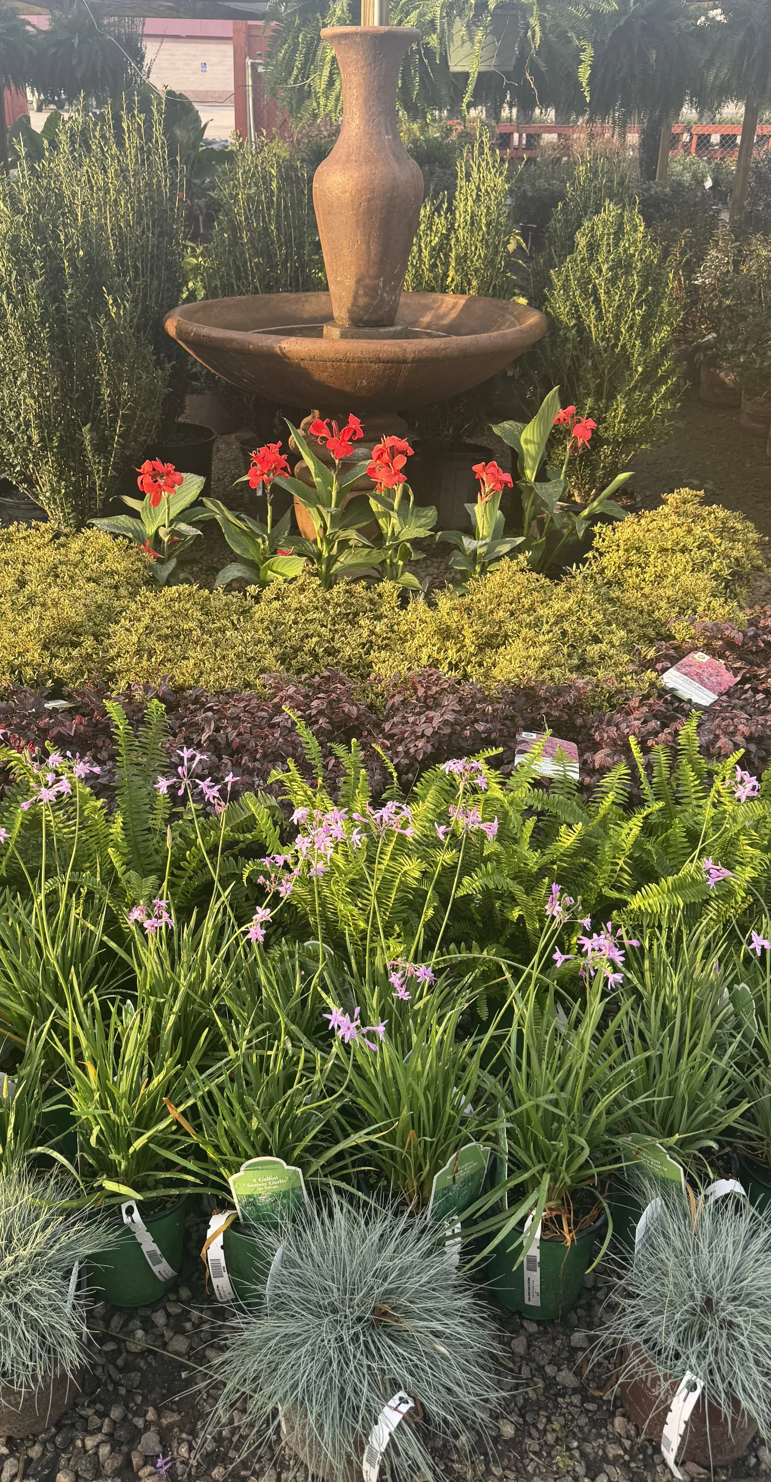 Colorful garden scene with a bird bath surrounded by yellow, purple, orange, and pink flowers. Several small birds are perched around the bird bath and on its base. Green foliage and trees are in the background.