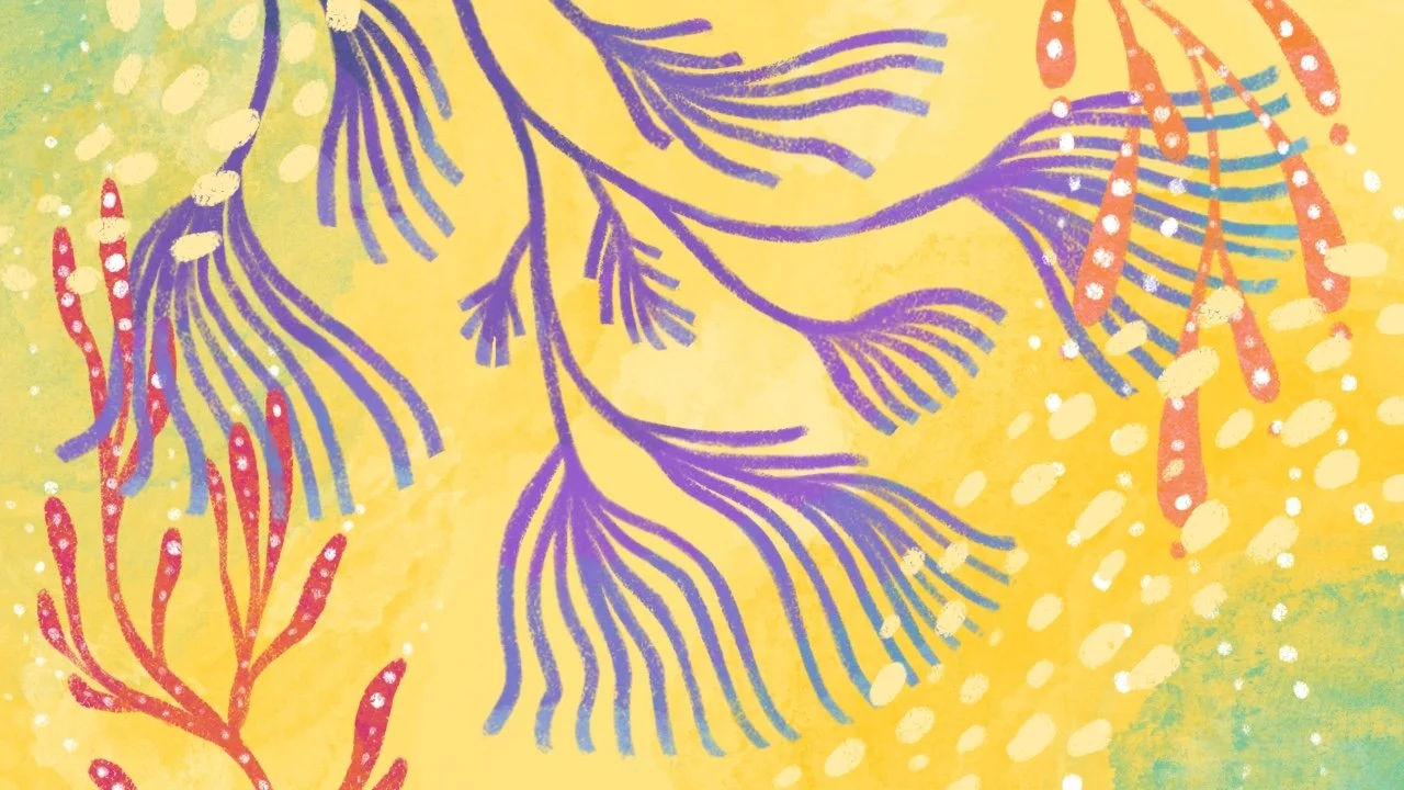 Launching At the Root: Join us for a Conversation with Science Sam on Gender Equity in STEM