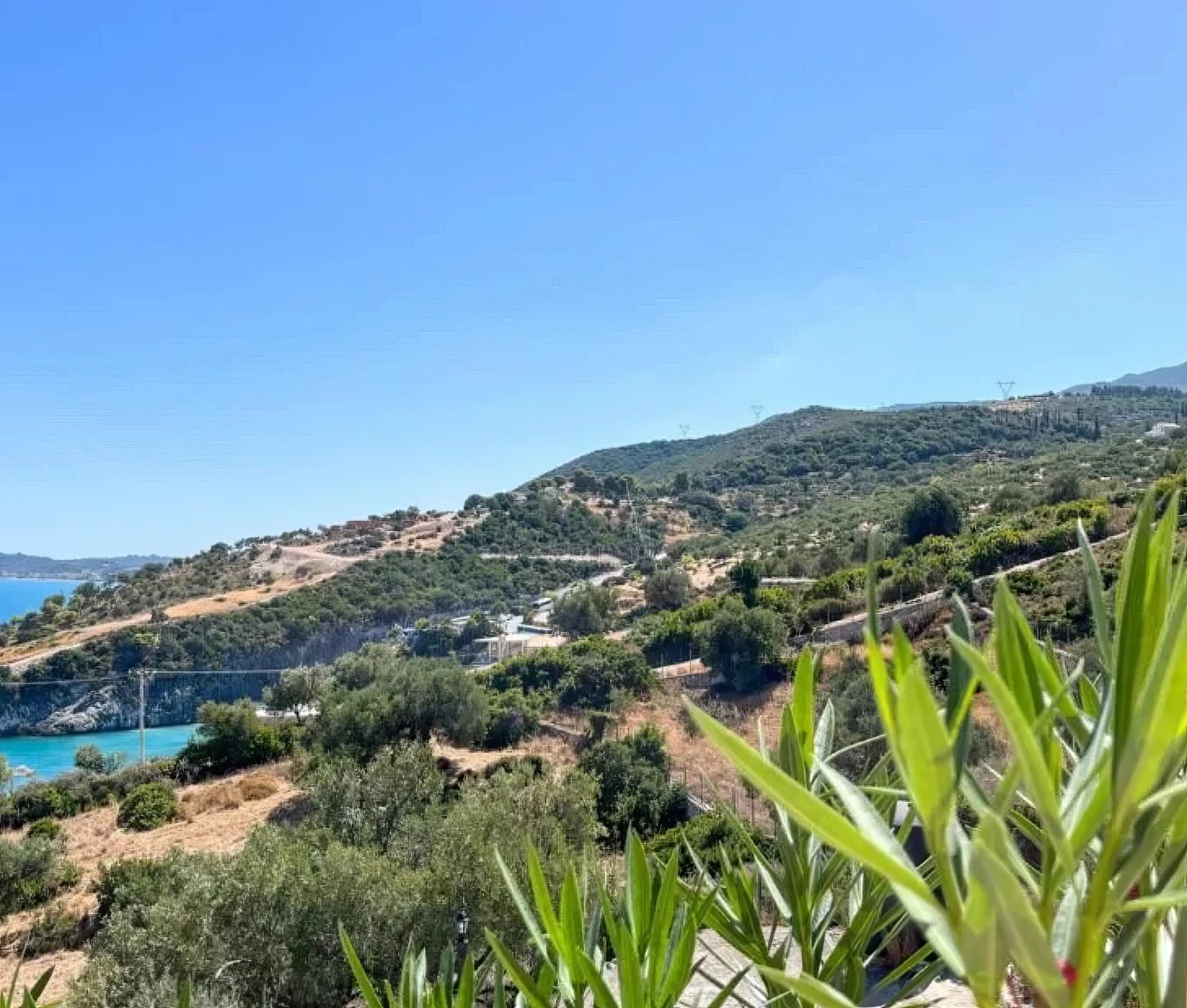 elxis_289850-screenshot-38.png