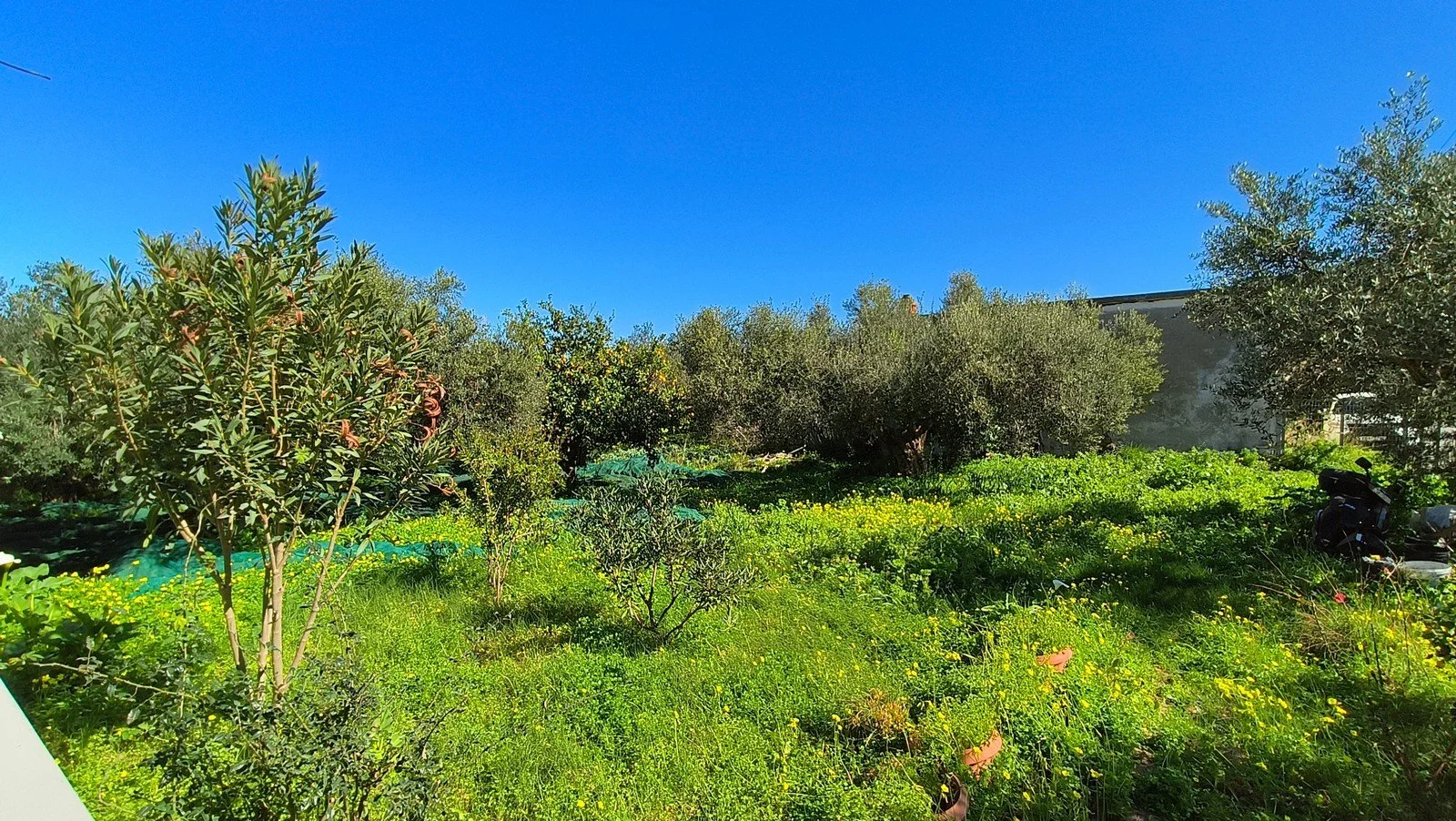 Property-for-Sale-in-Drapanias-62.jpg
