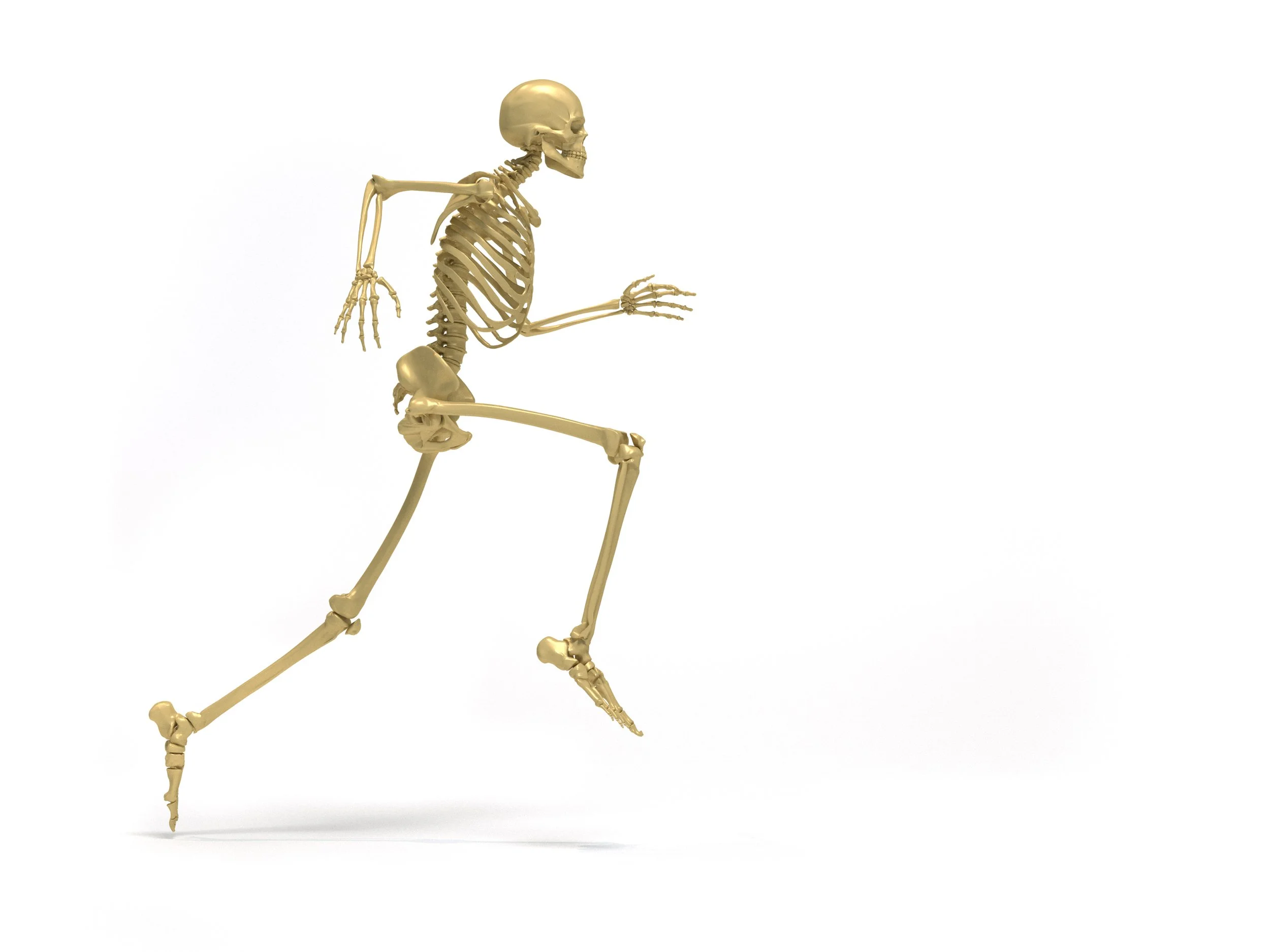 AMP: Lower Body