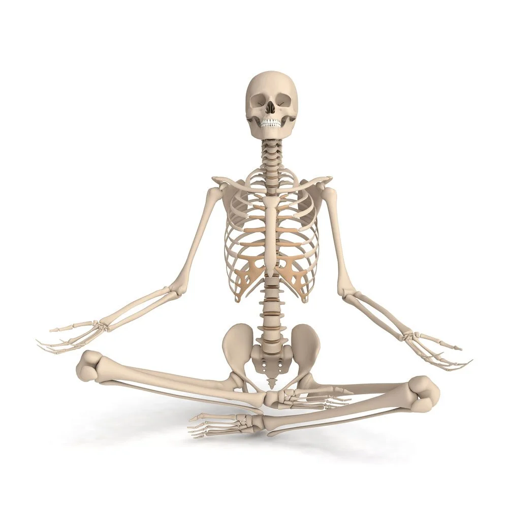 AMP: The Low Back