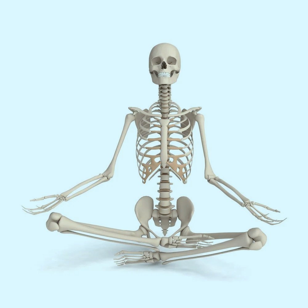 AMP: The Low Back