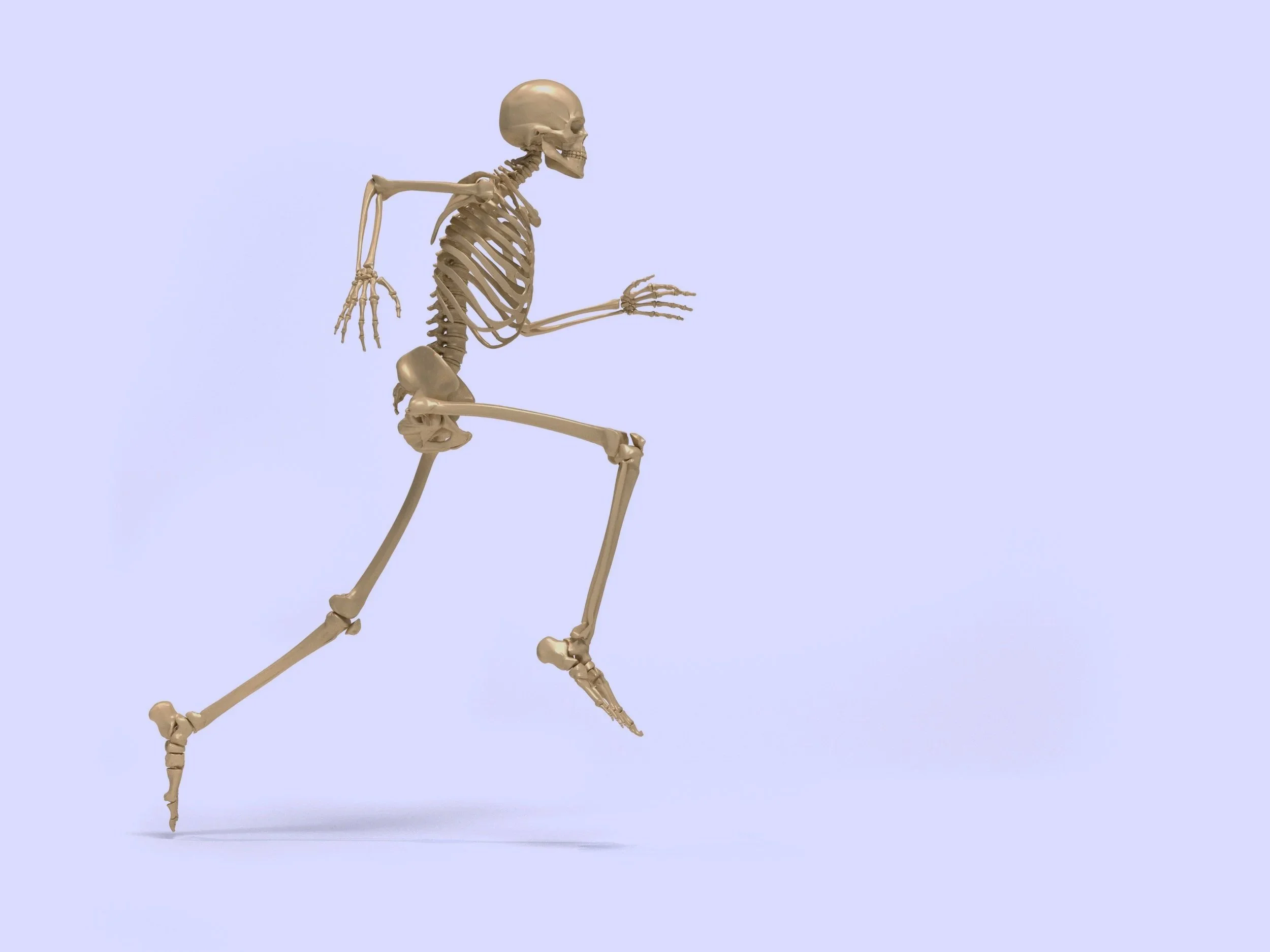 AMP: The Lower Body