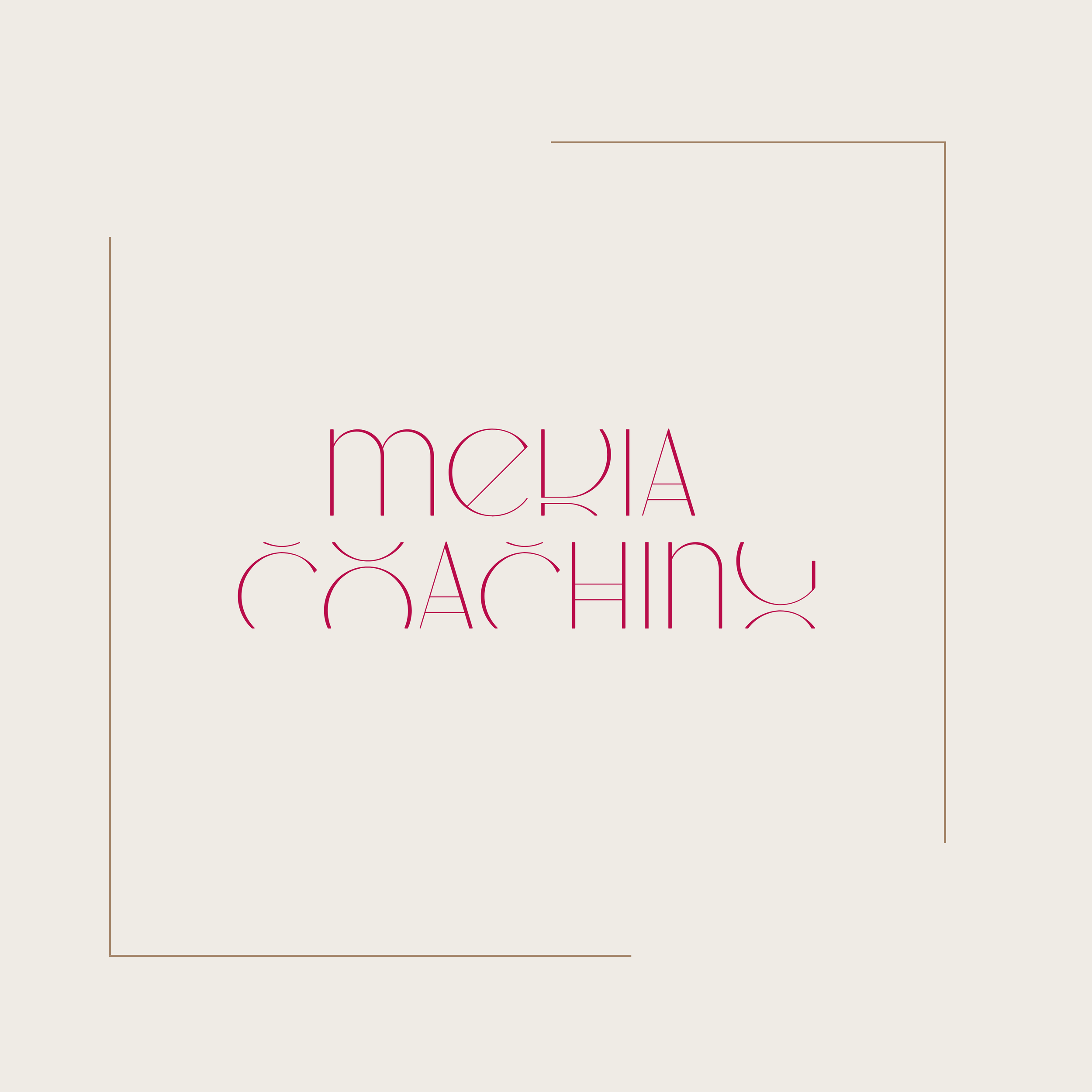Media Coaching