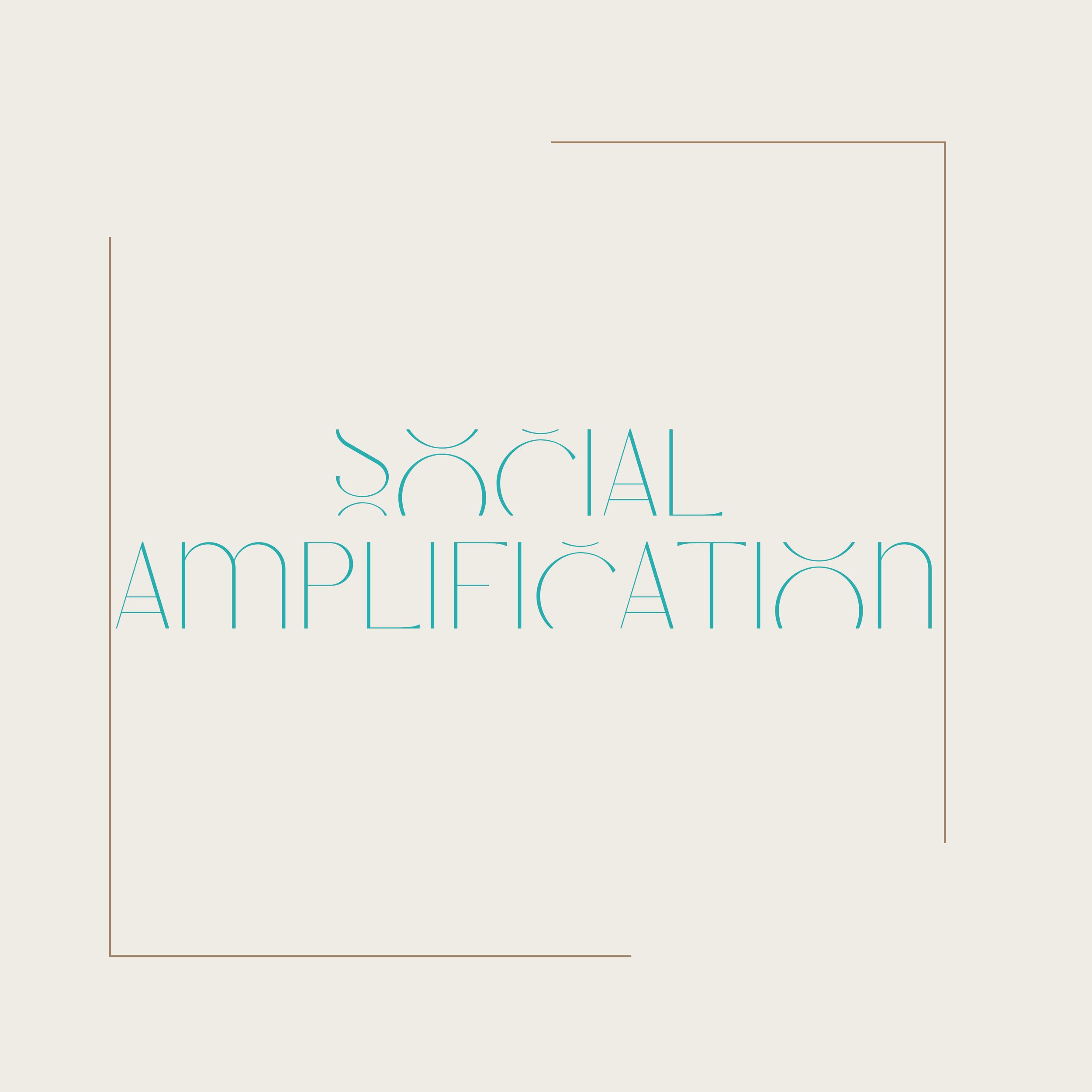 Social Amplification