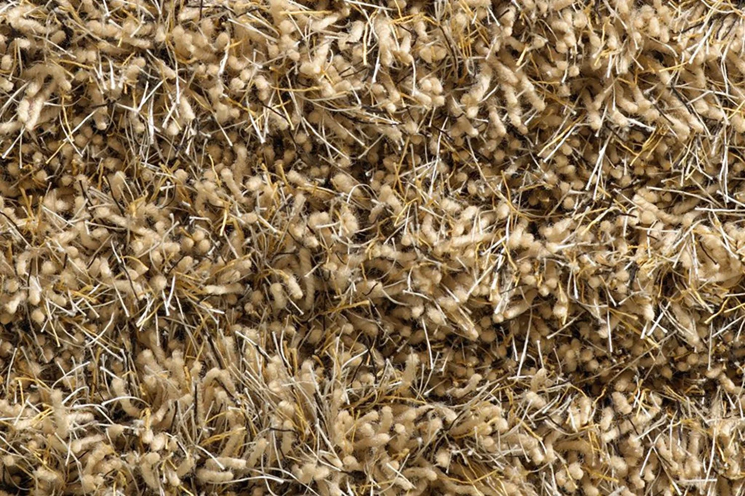 Detail of the Aapa carpet