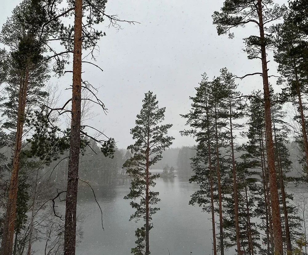 Late Autumn and Snowfall