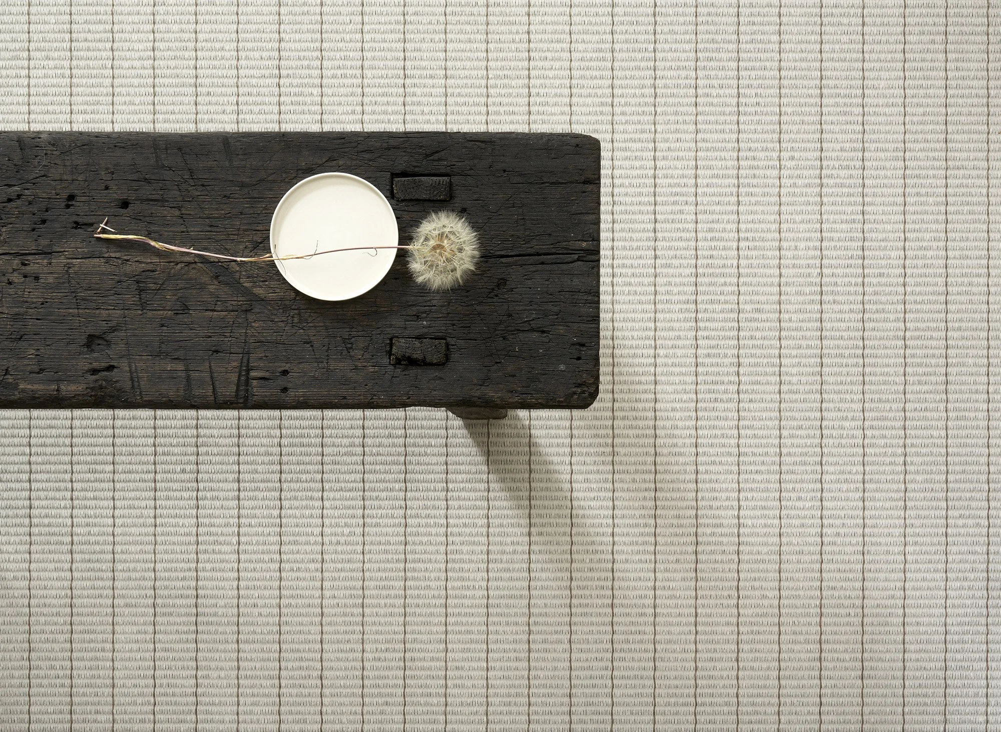 Line 1241532 stone-nutria