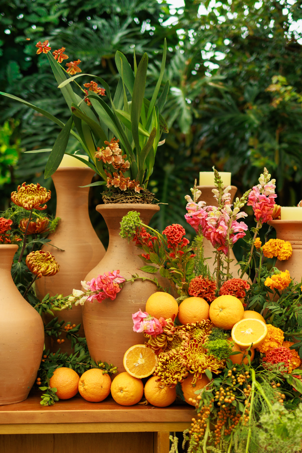 Captura de Tela 2026-02-13 às 13.55.08.png