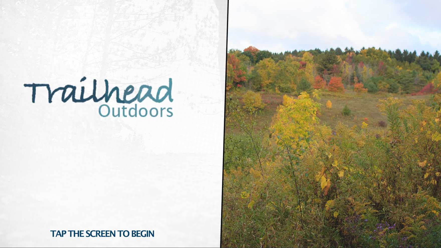 Touchscreen Ordering App