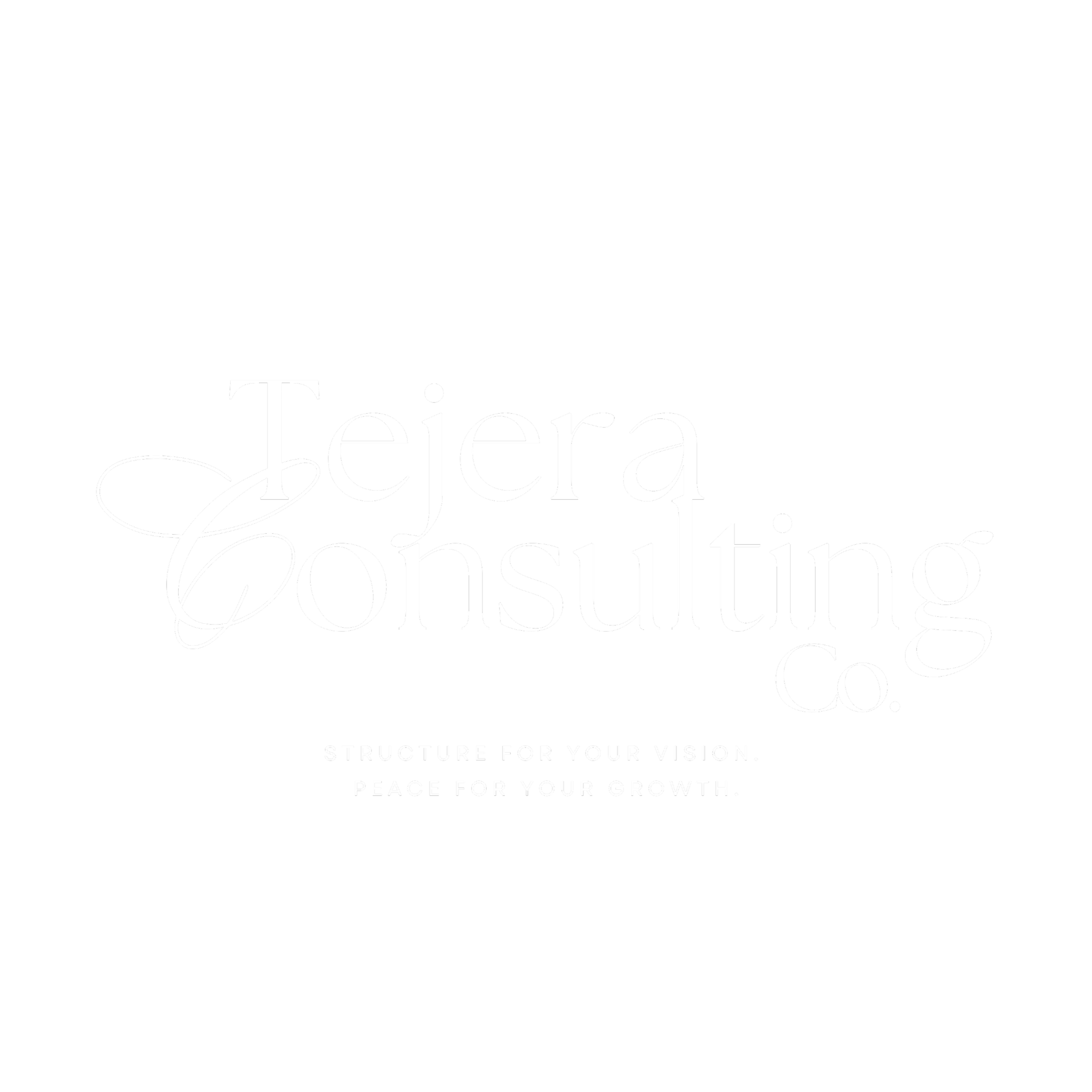 Briana Tejera business consultant in Miami Florida specializing in small business systems, CRM setup, and operations