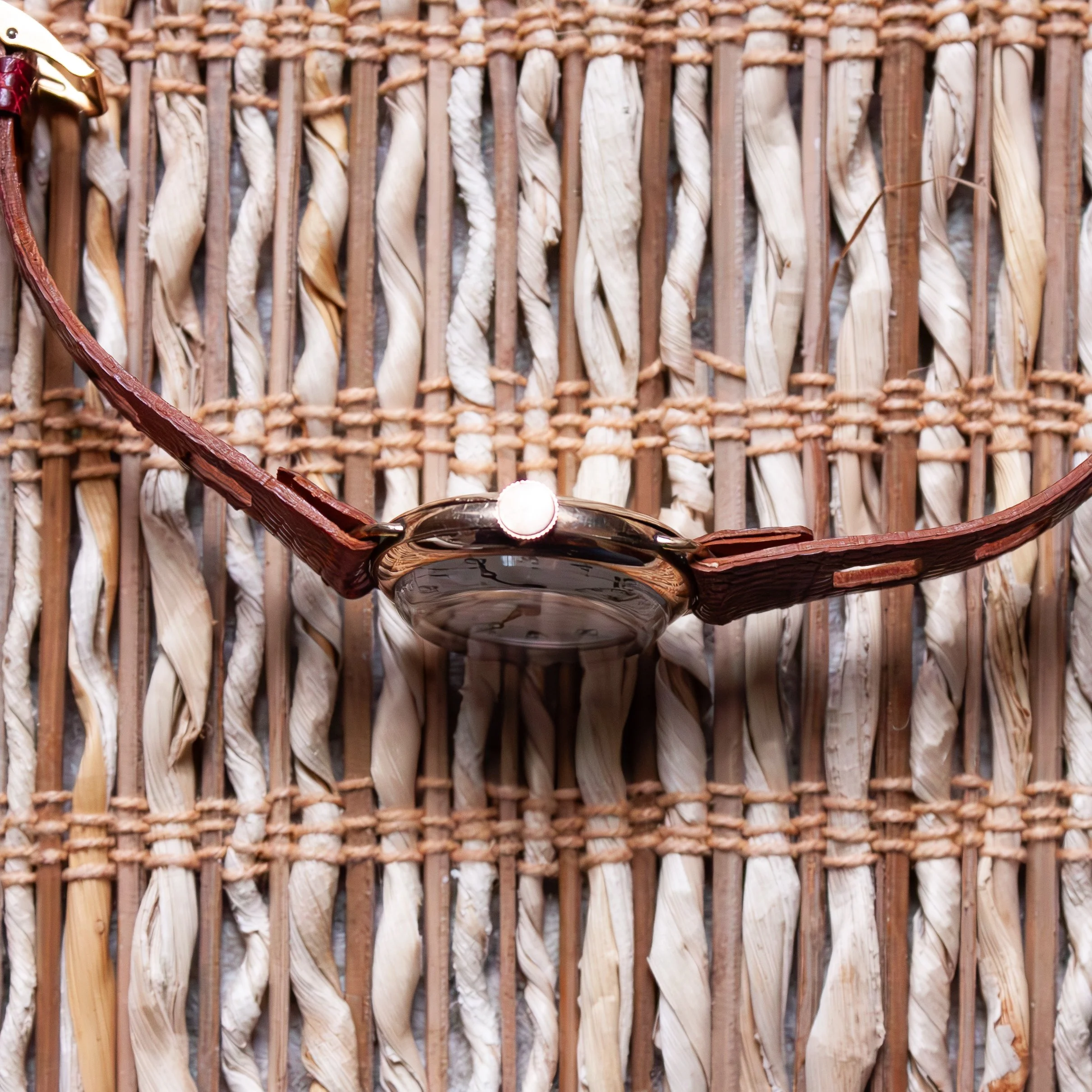 IMG_0244.jpg