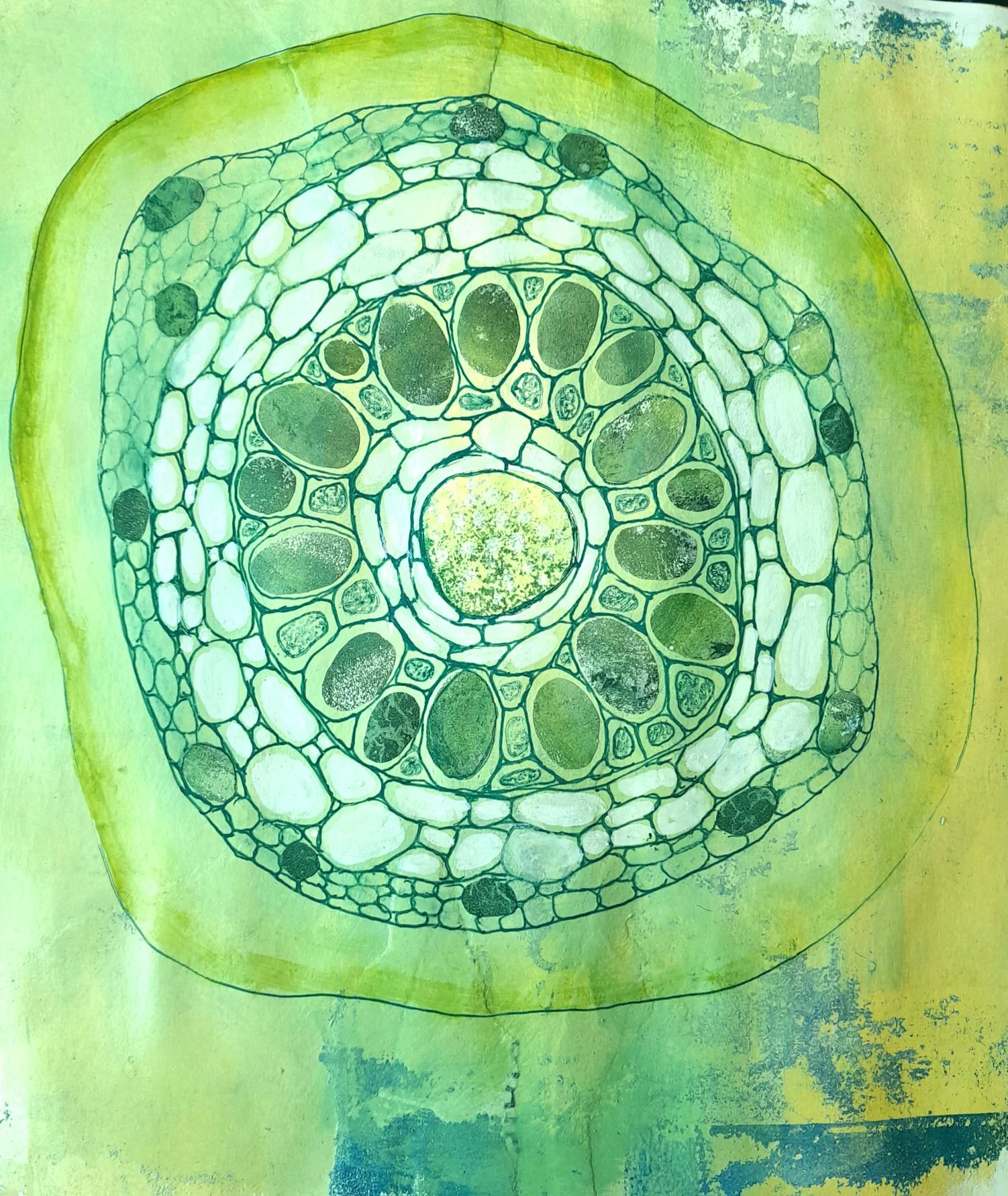 WhatsApp Image 2026-02-12 at 16.34.29 (2).jpeg