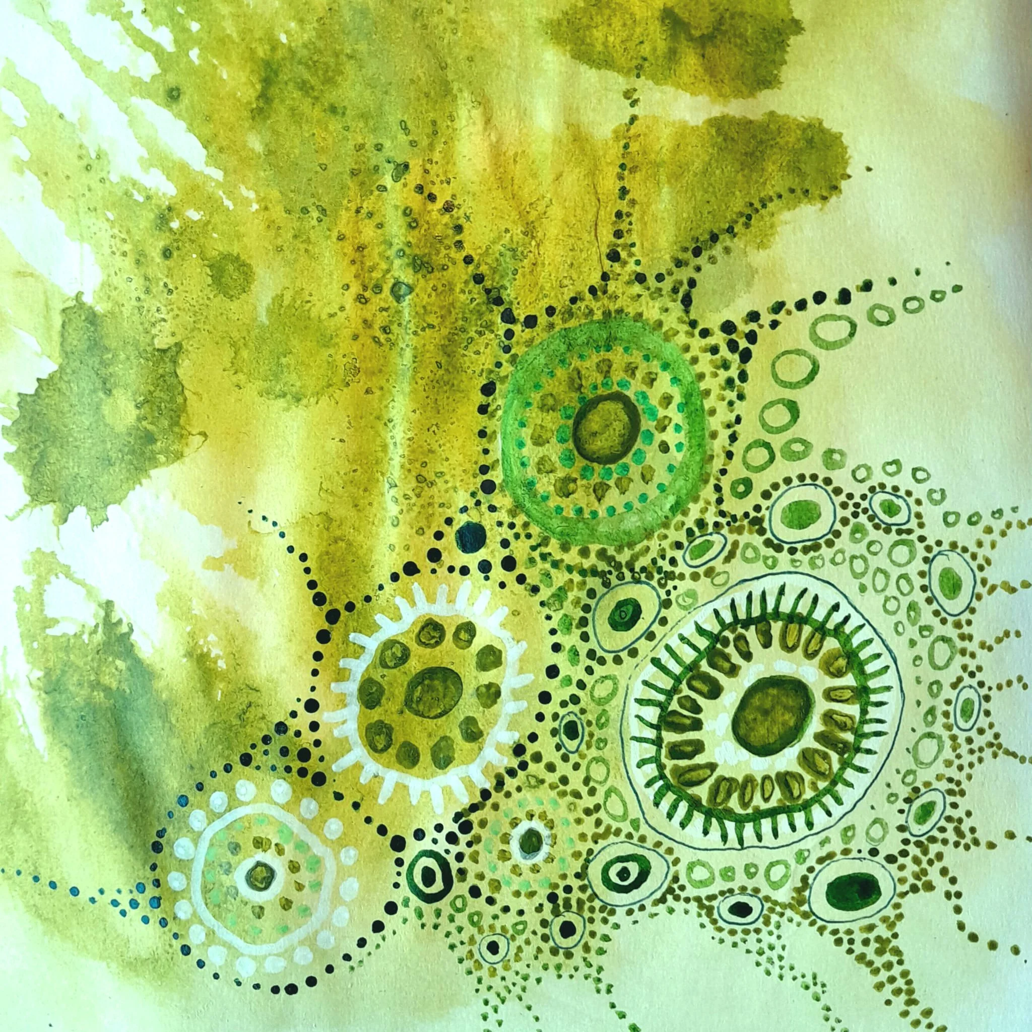 WhatsApp Image 2026-02-12 at 16.34.27 (2).jpeg