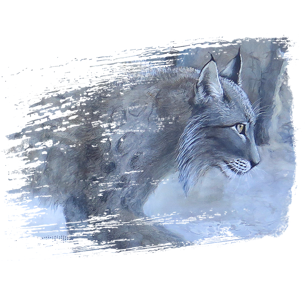 A detail of a mixed media painting of a lynx, vignetted in the shape of a brushstroke, showing the lynx's face in profile and part of its body against a textured collage background.