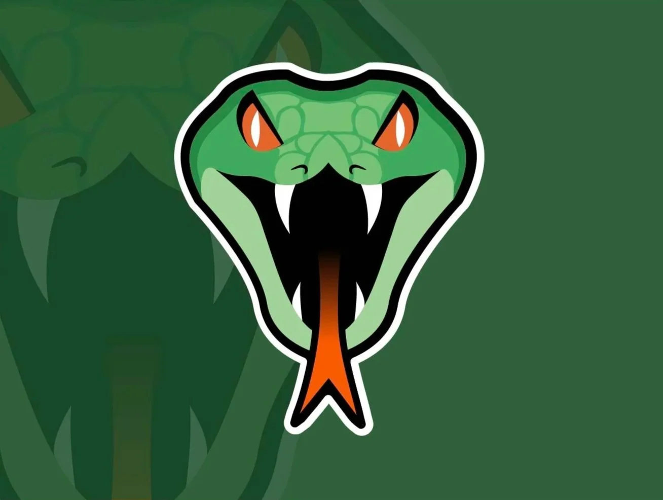 Vipers Esports