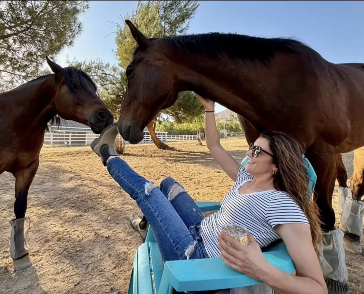 Woman smiling, sitting in a blue wheelchair, wearing a striped shirt and sunglasses, holding a container, as she interacts with two brown horses with black manes, in an outdoor setting with trees, a fence, and a clear sky.
