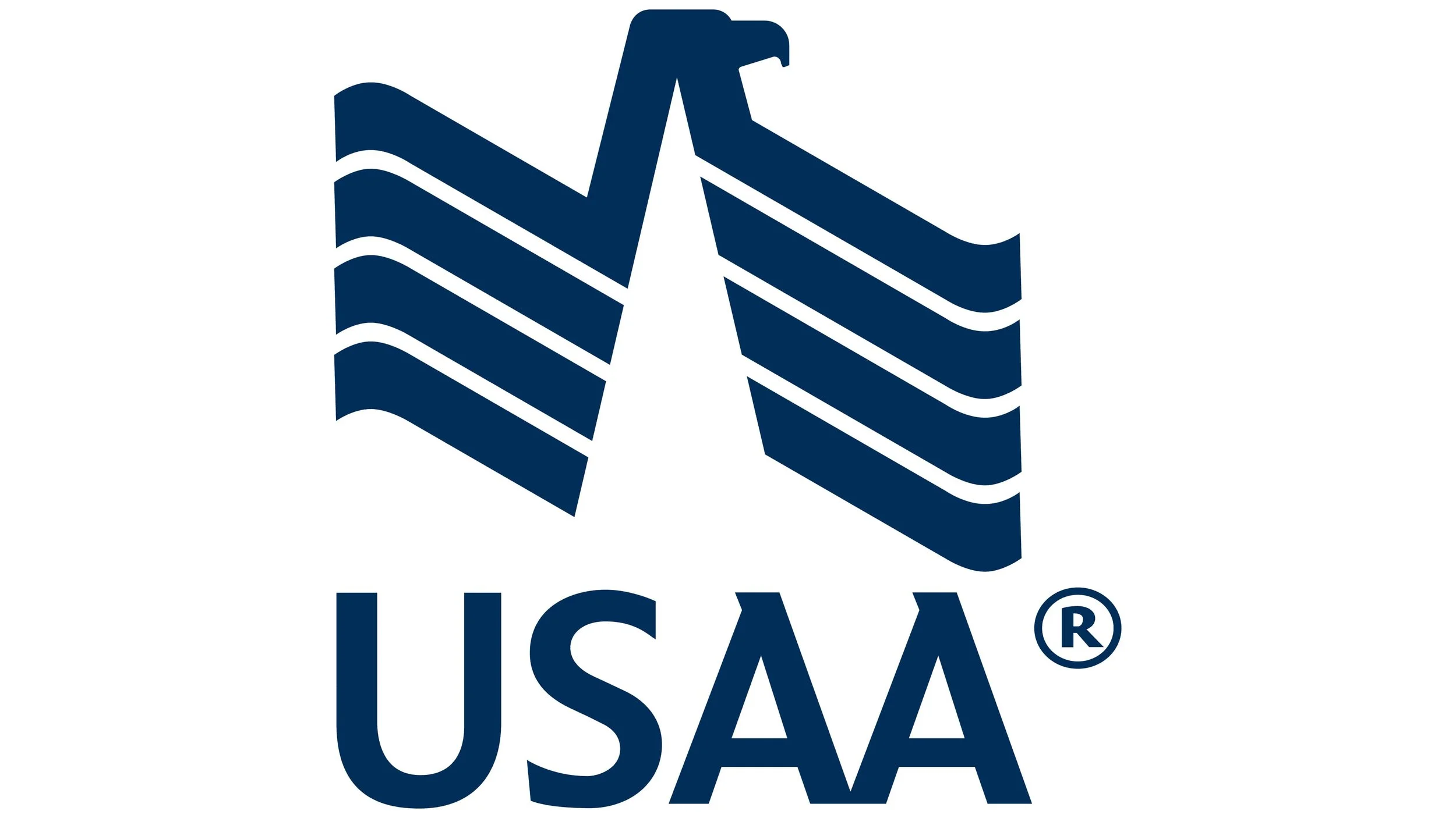 The USA Volleyball logo featuring a stylized eagle in the shape of a volleyball with the word 'USA' underneath.