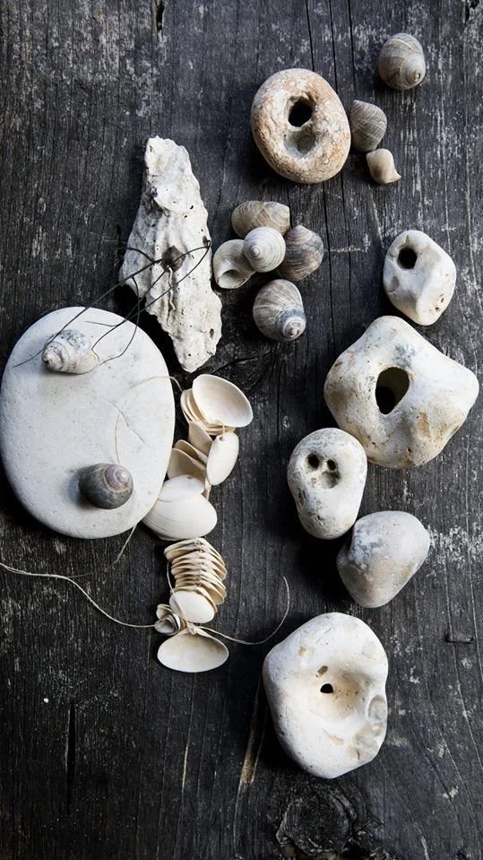 Various hag stones which are stones with natural holes in them. They are scattered on a dark wooden surface that also has shells.