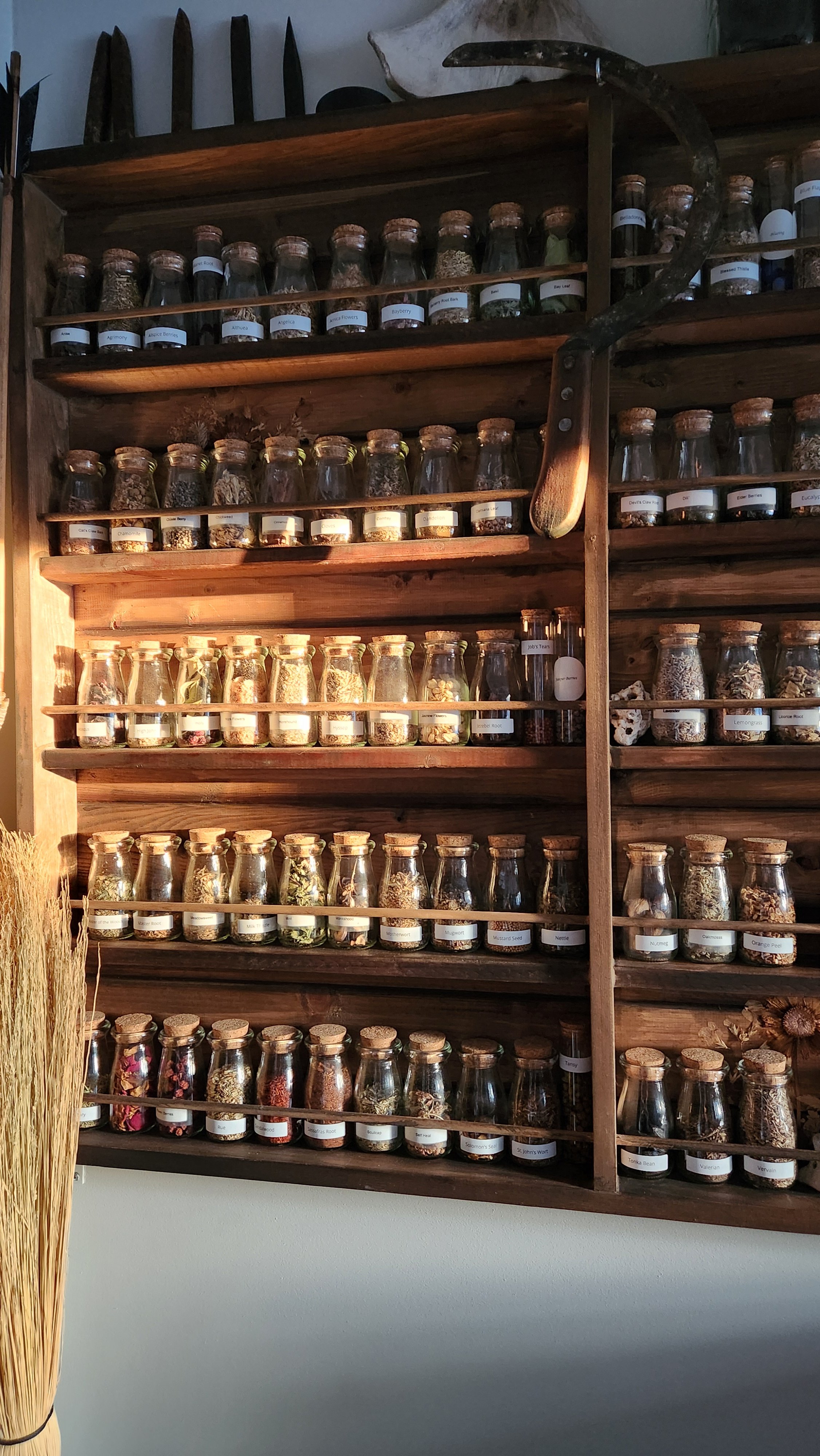 Wooden shelf filled with glass jars containing dried herbs, spices, and botanicals, labeled with names, in a herbal apothecary or spice shop.