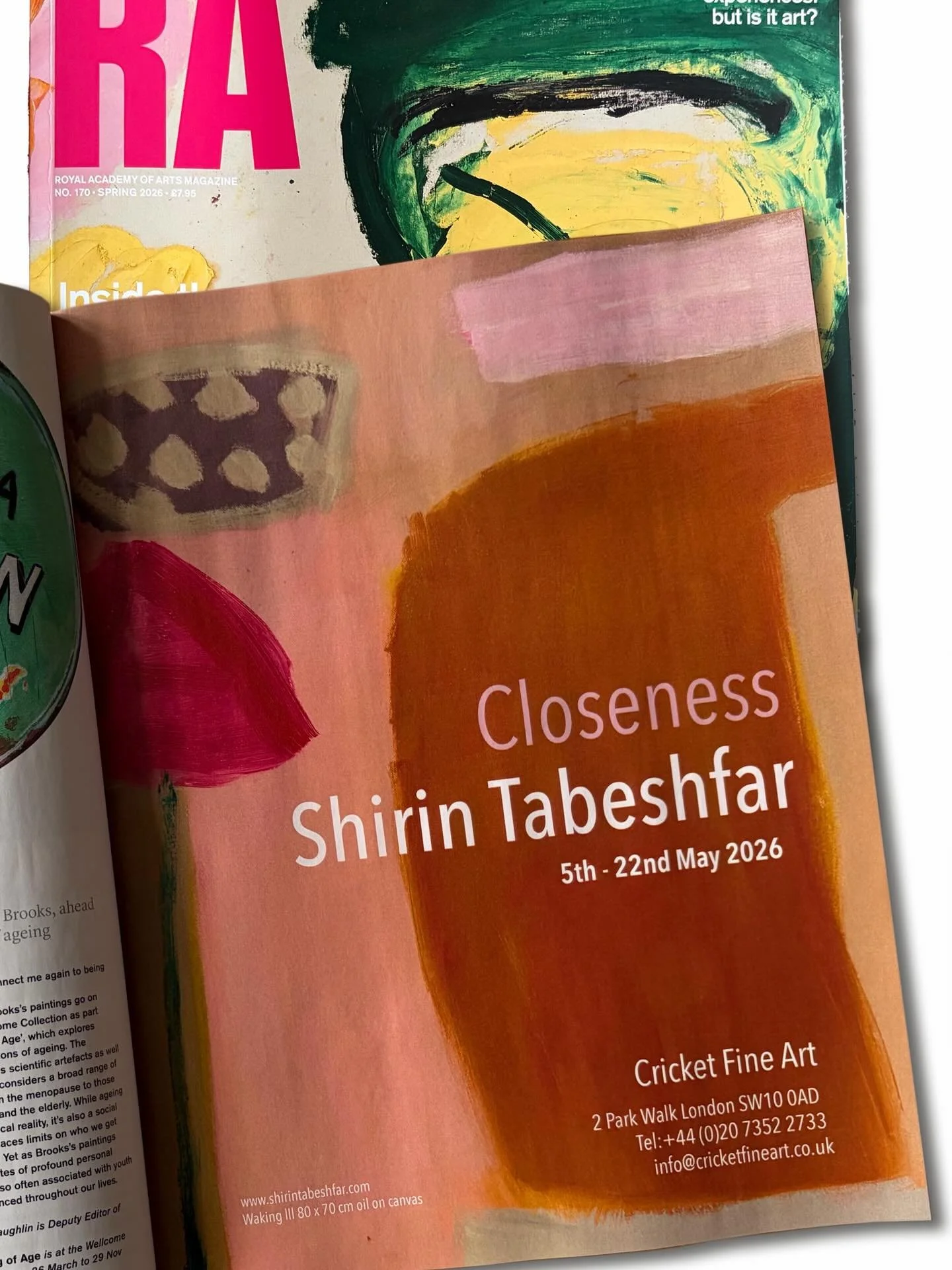 Very much looking forward to my May 2026 solo exhibition at Cricket Fine Art gallery London.  #artexhibitions #rayalacademyofarts #londonartgallery #abstractart #soloexhibition