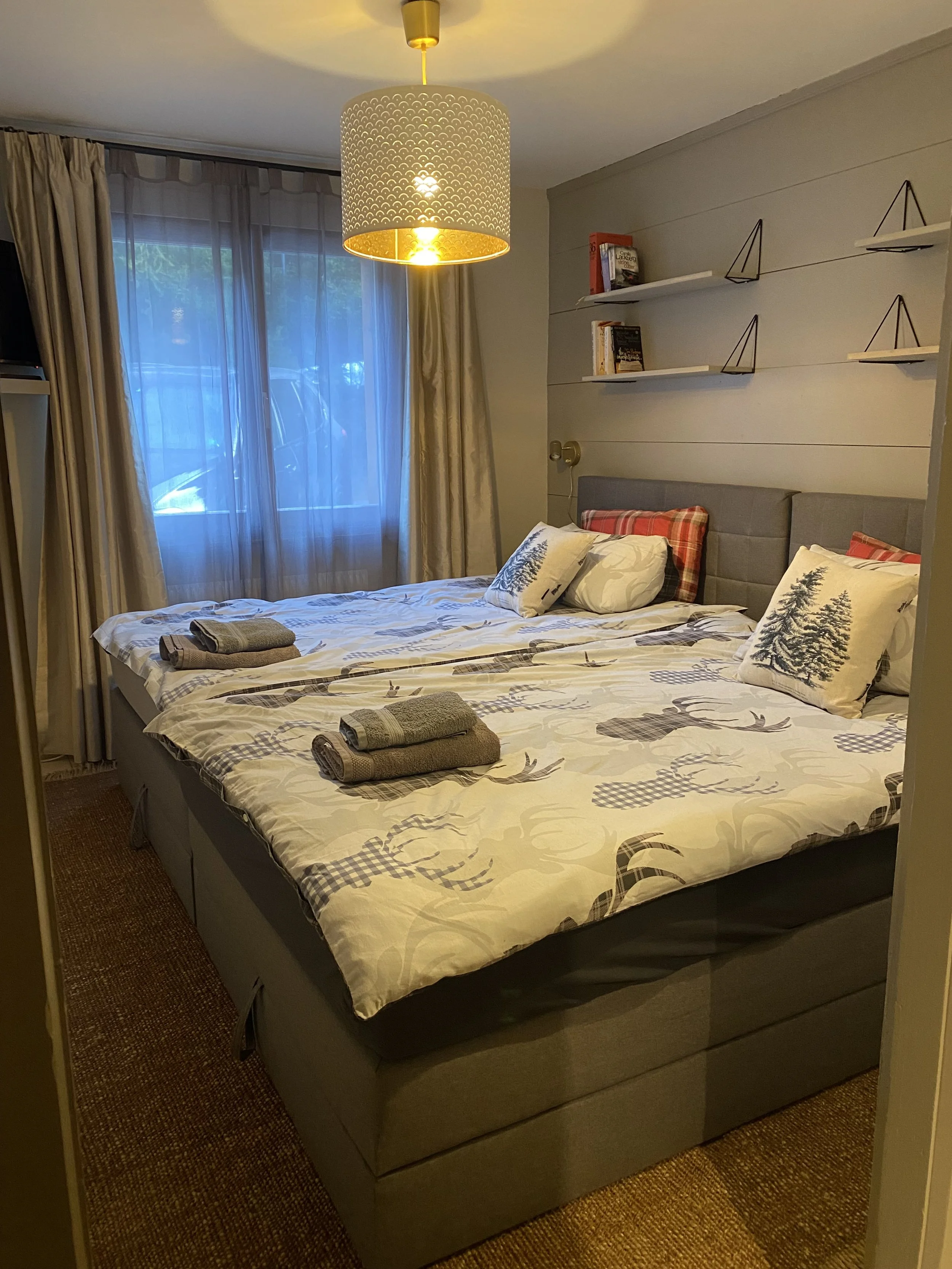 A cozy bedroom with two beds, decorated with plaid and tree-themed pillows, and neatly folded towels on each bed. A large window with curtains allows natural light while a modern ceiling light provides additional illumination. The wall behind the beds has shelves with books and decorative items.