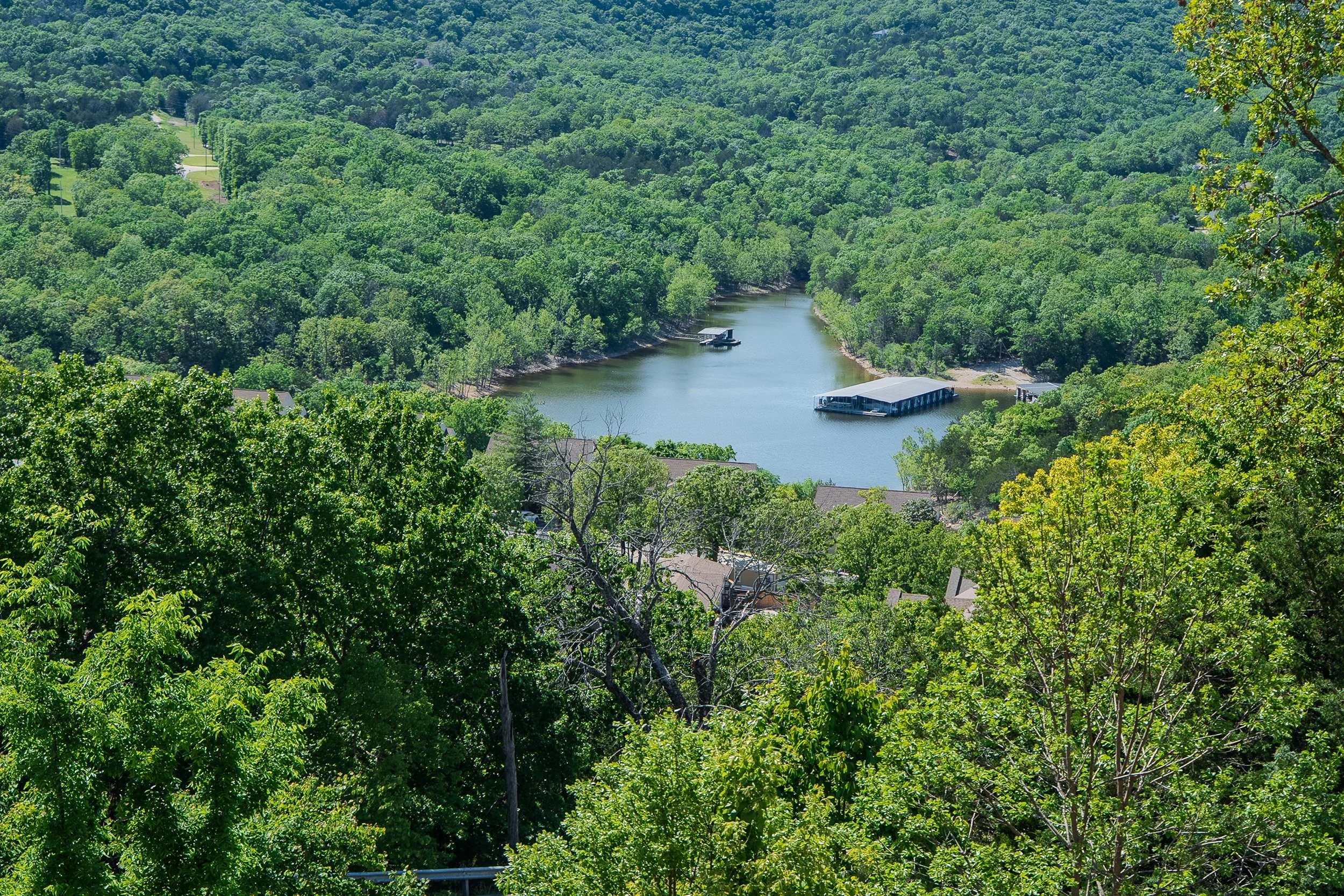 A sunny day at the lake | Branson West