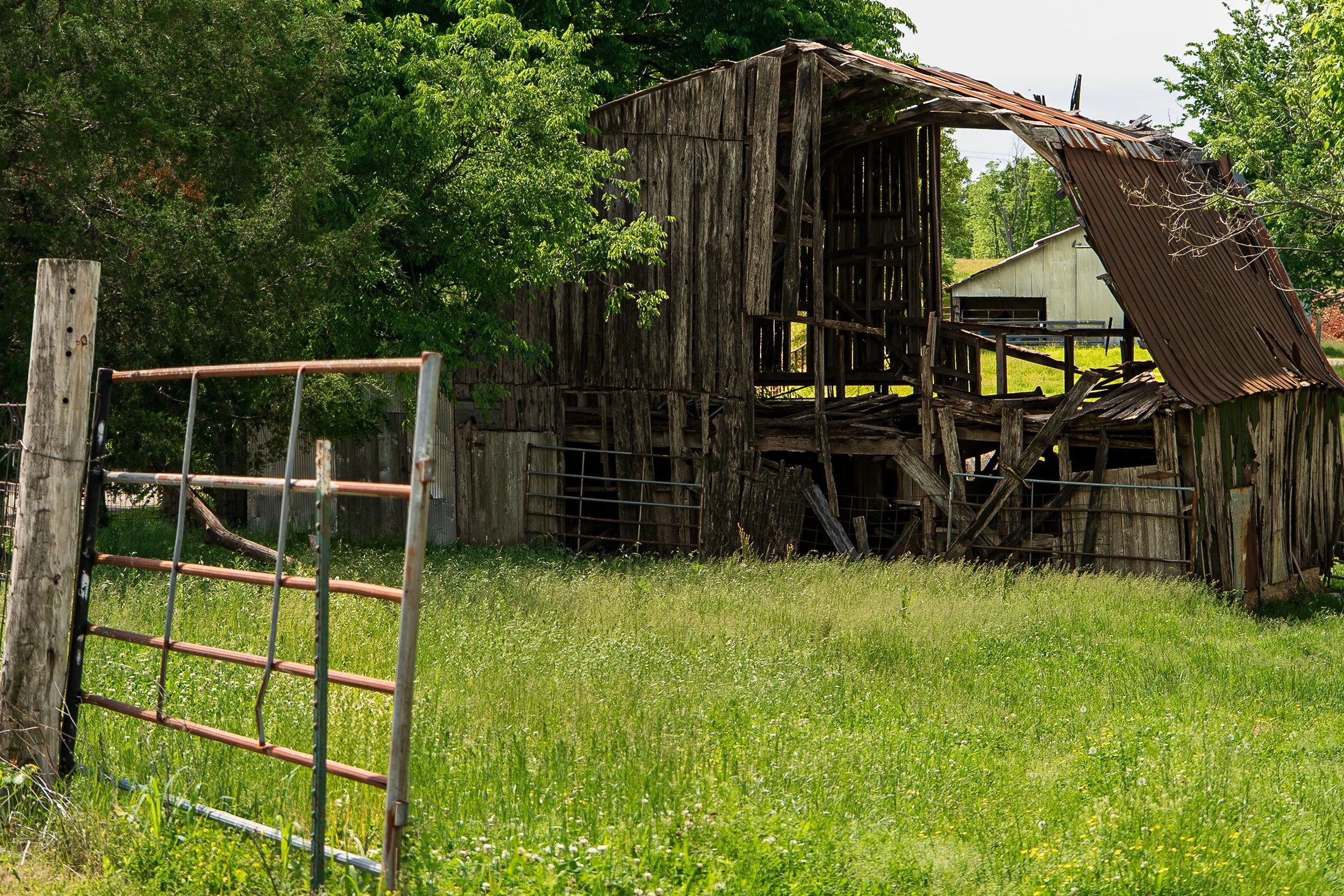 A classic Ozark's barn | Hurley