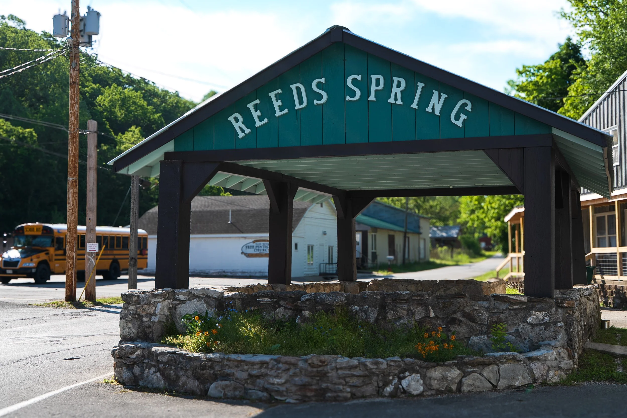 The namesake spring | Reeds Spring