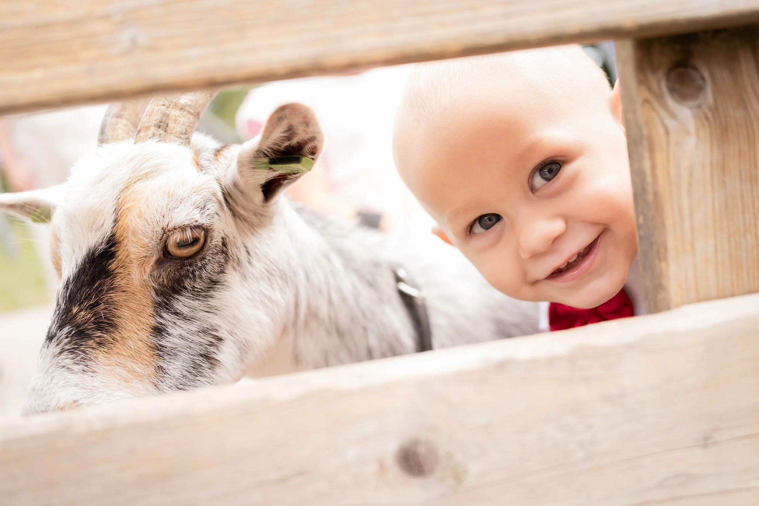 Samuel - 1o aninho_47.jpg