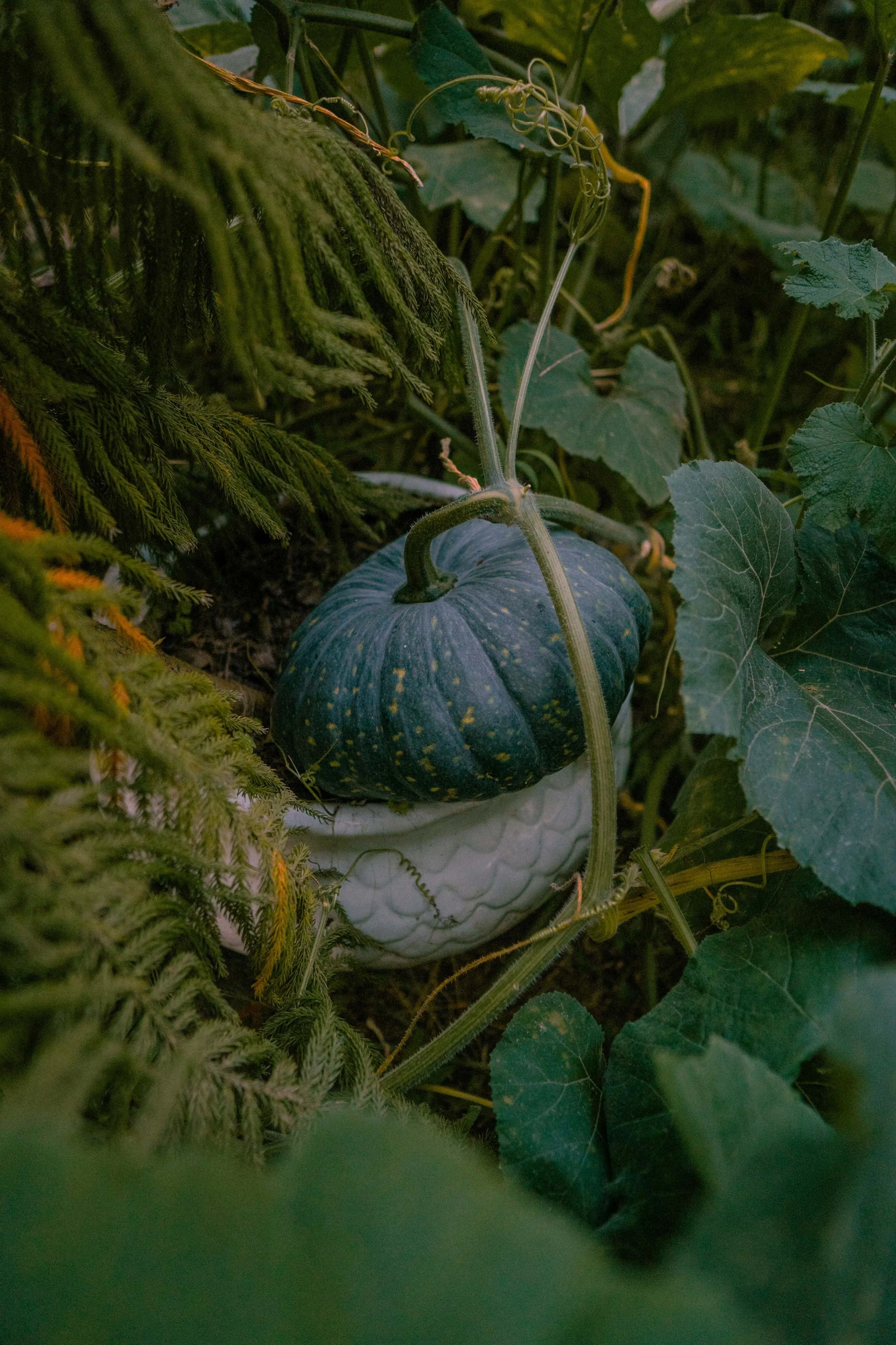 Project Template One