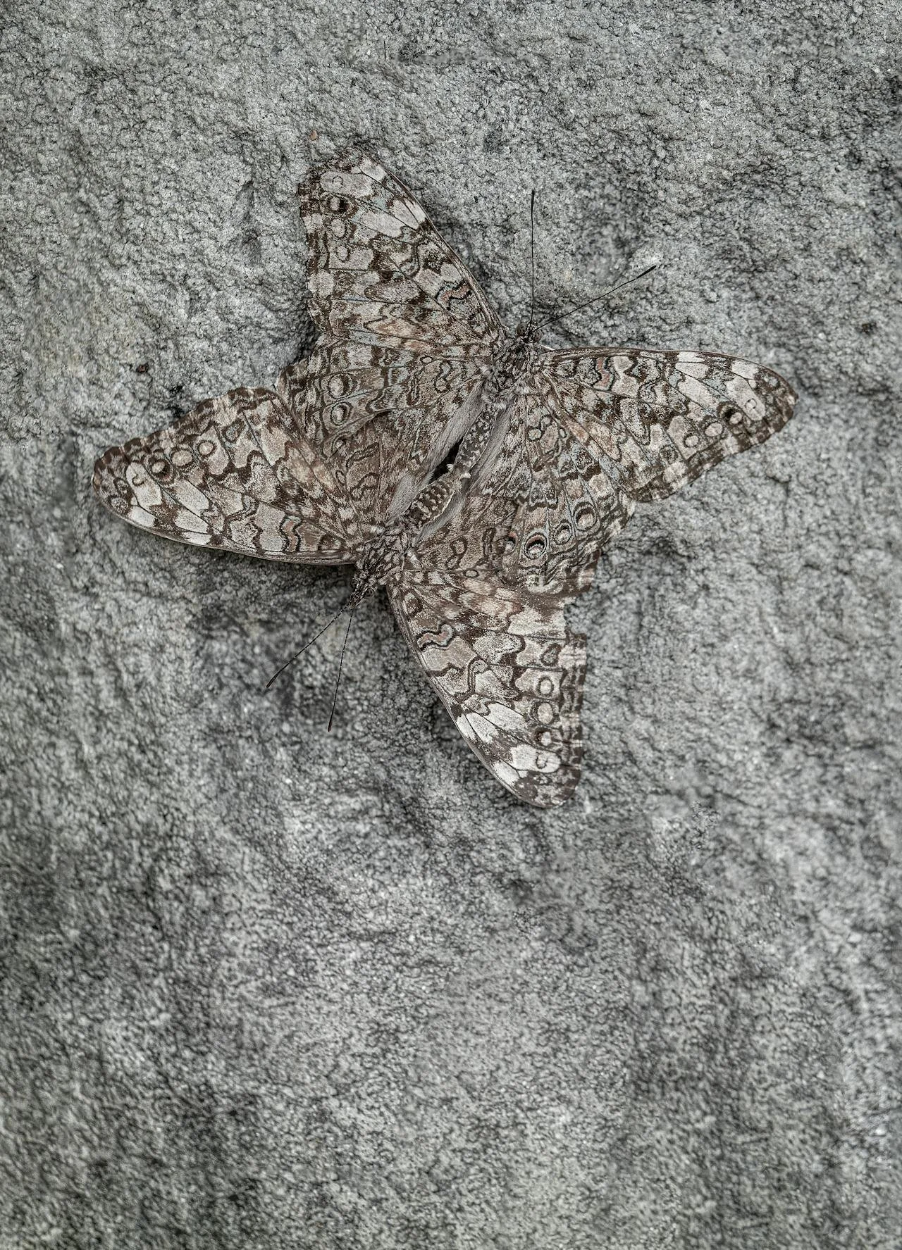 Retreat Event Template