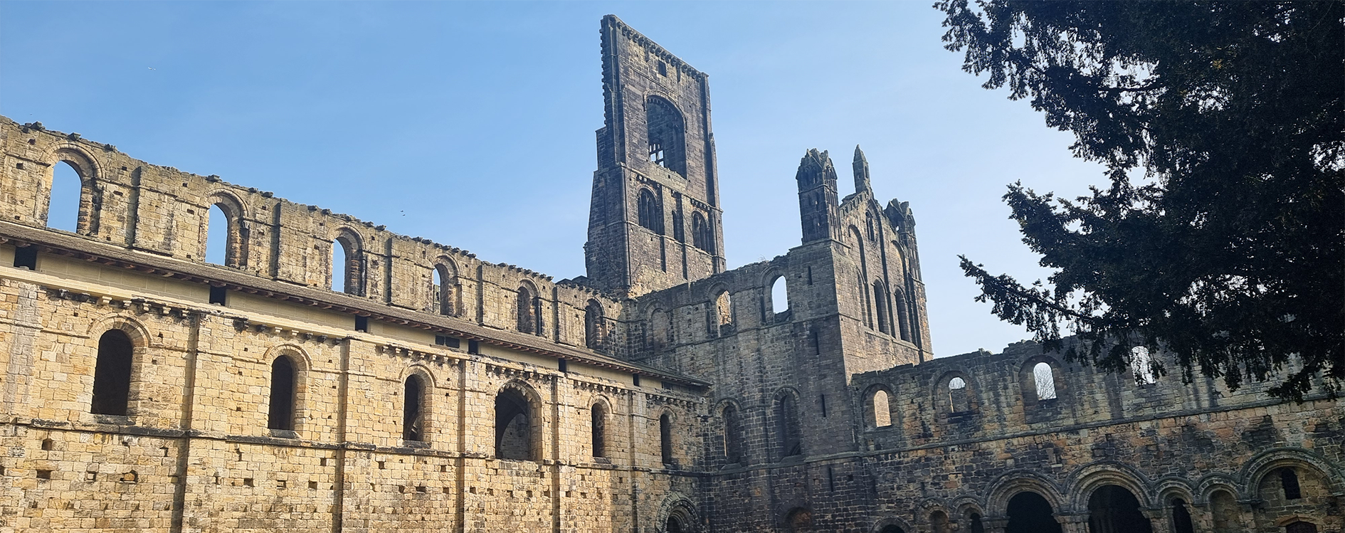 Ruins of an old stone castle with tall, arched windows and a prominent tower against a clear blue sky, with a tree partially visible on the right side.