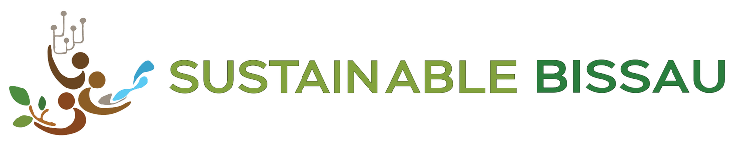 Building Sustainable Communities Across West Africa