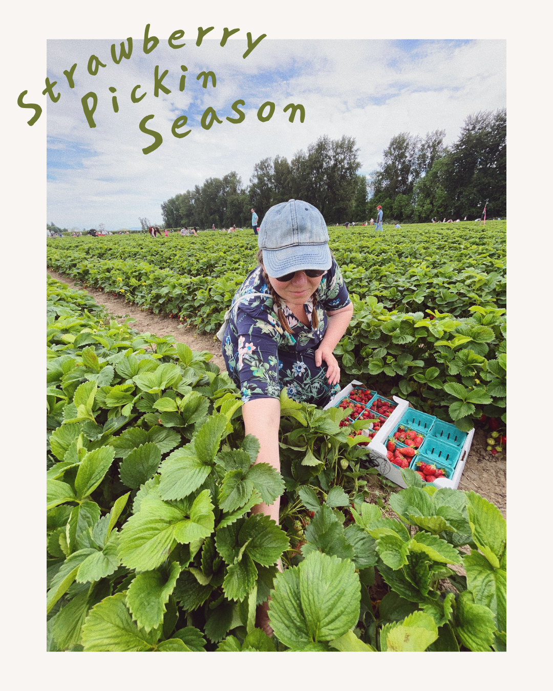 Coalition Partners: Strawberry U-Pick Season Is Here! 