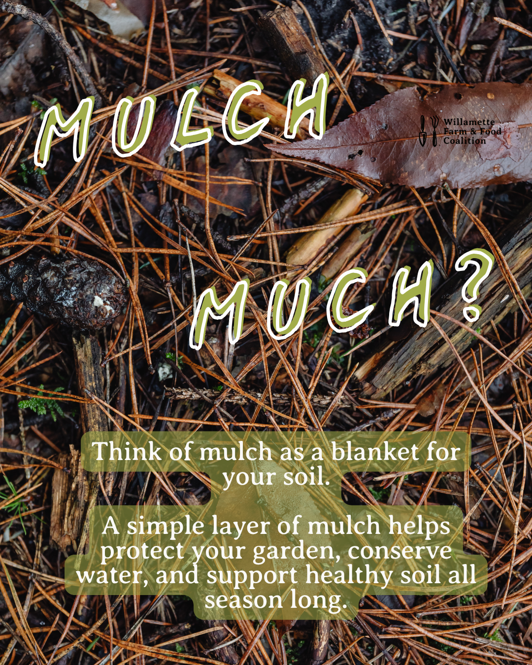 For the Grower: Mulch Much?