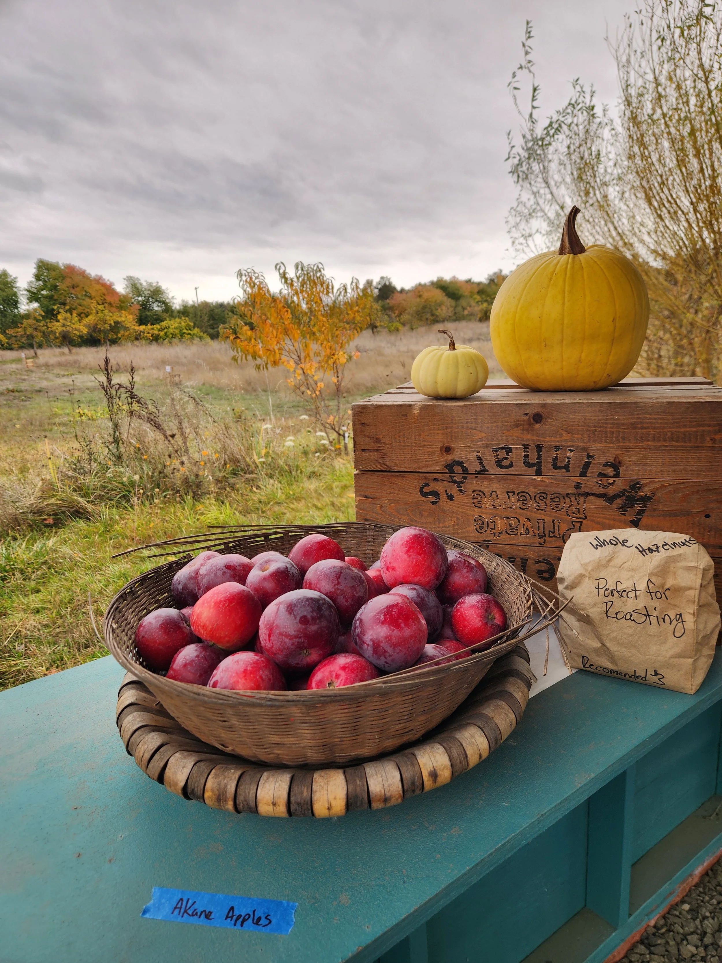 September 12 - Parker Learning Gardens - Cider Pressing &amp; U-pick Launch event