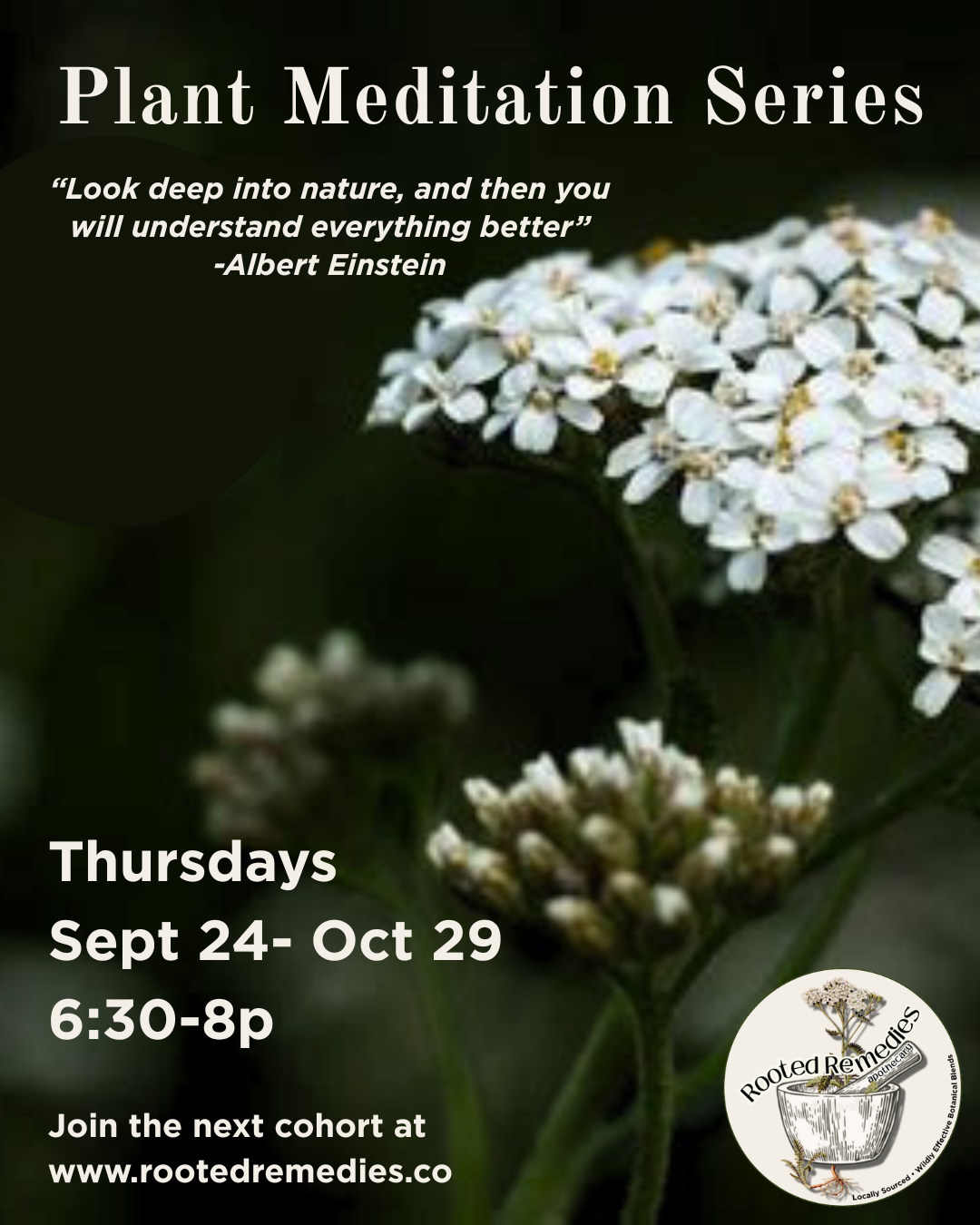 Rooted Remedies Apothecary - Plant Meditation Cohort