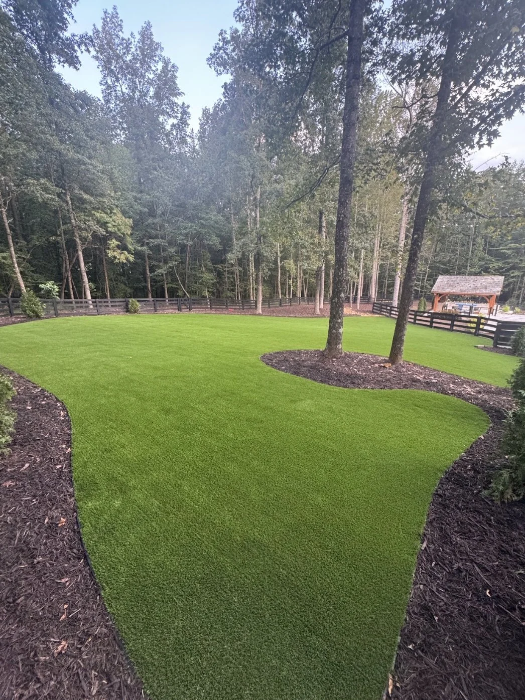 Image 3-12-26 at 8.40 PM.jpeg