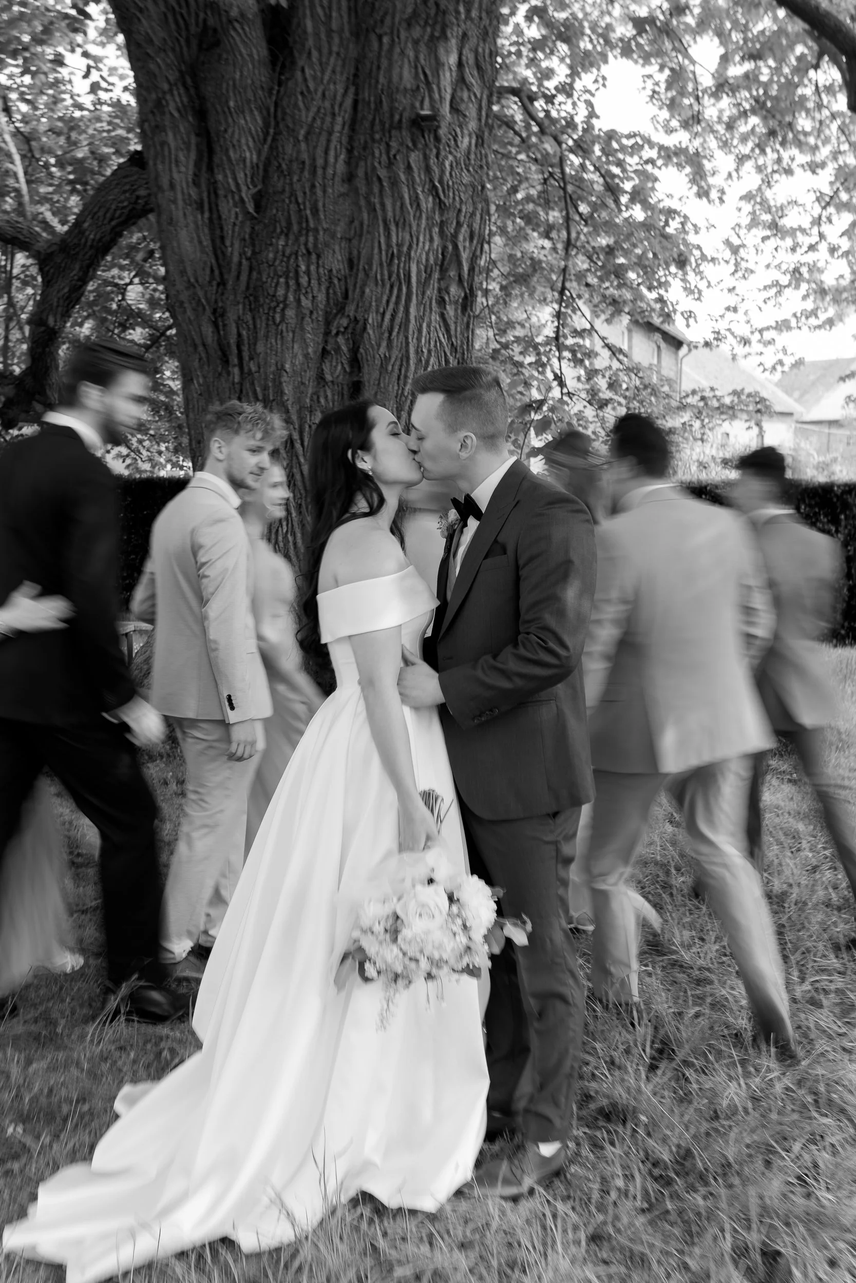 Ein Brautpaar küsst sich unter einem großen Baum bei einer Hochzeit, umgeben von Gästen, im Freien.