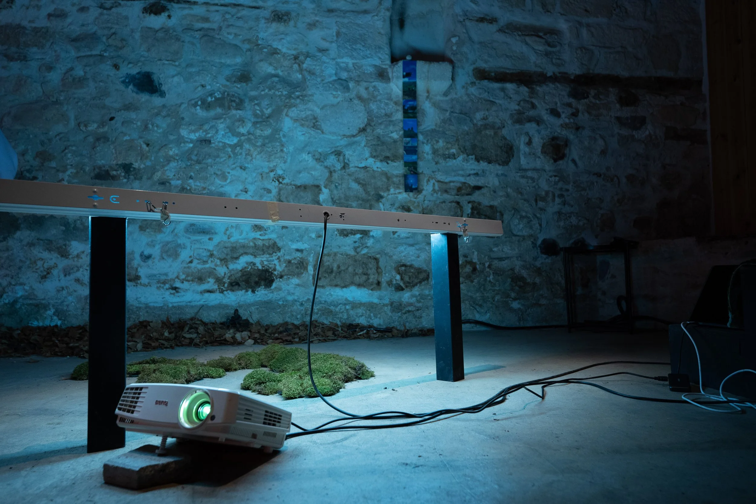 Moss carpet with fluorescent lamp pretending the sun