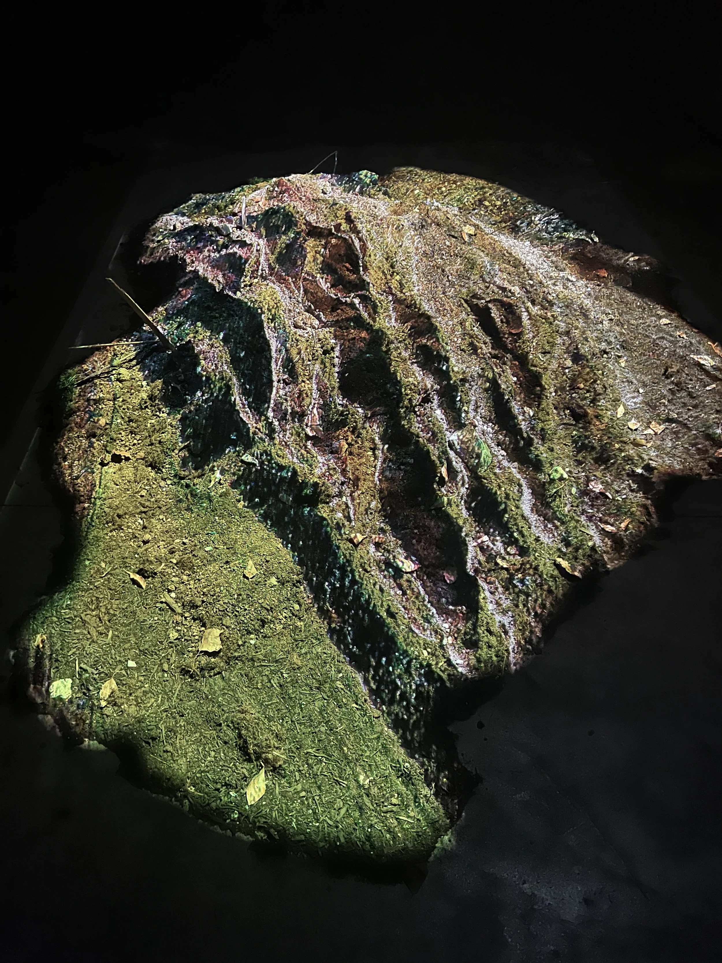 Arras du, 2024 
Drone footage by Phivos Philitas  projected on soil,  shaped as google maps route outline