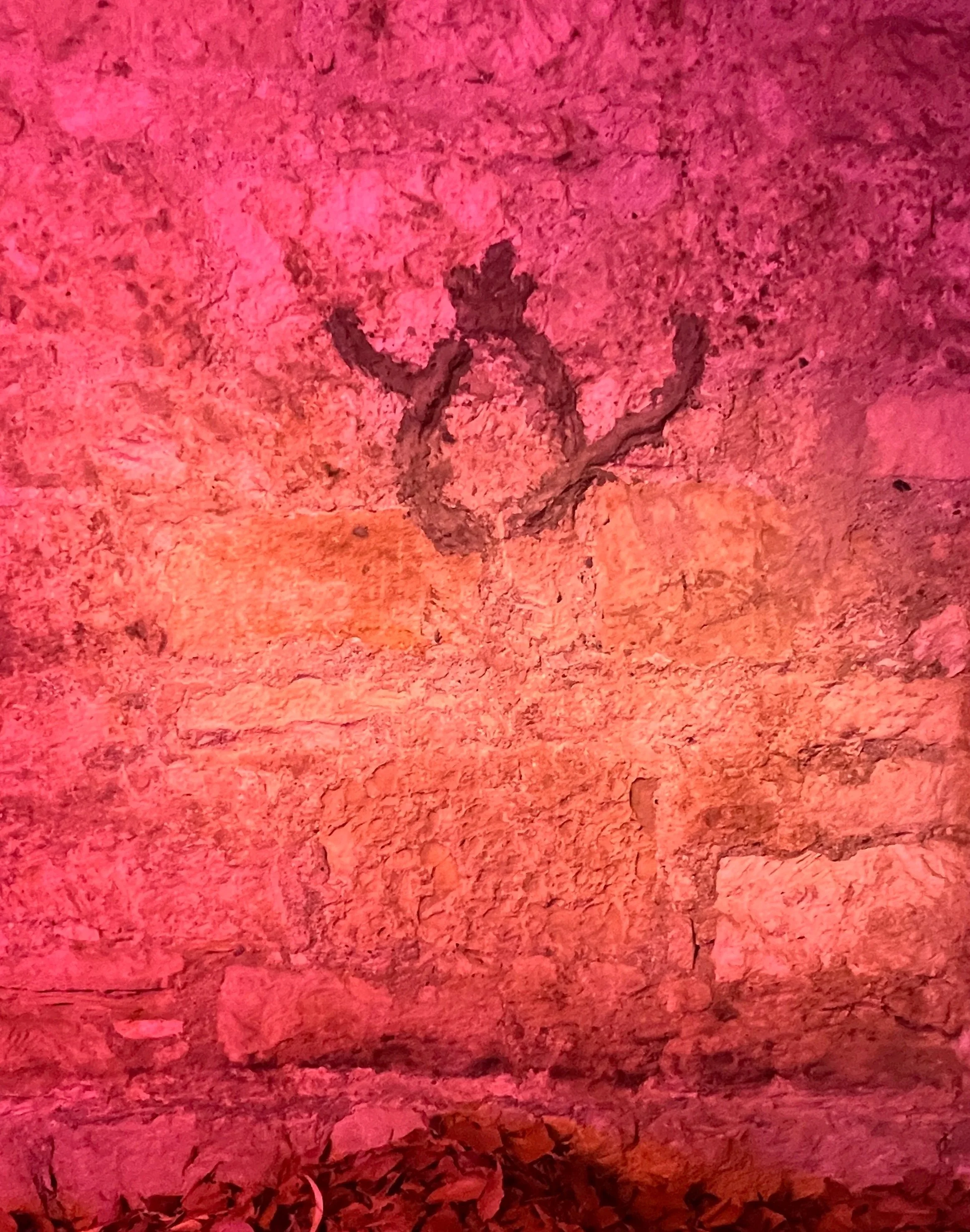 ‘Nests’ , 2024
Wall sculpture , clay, cement, latex