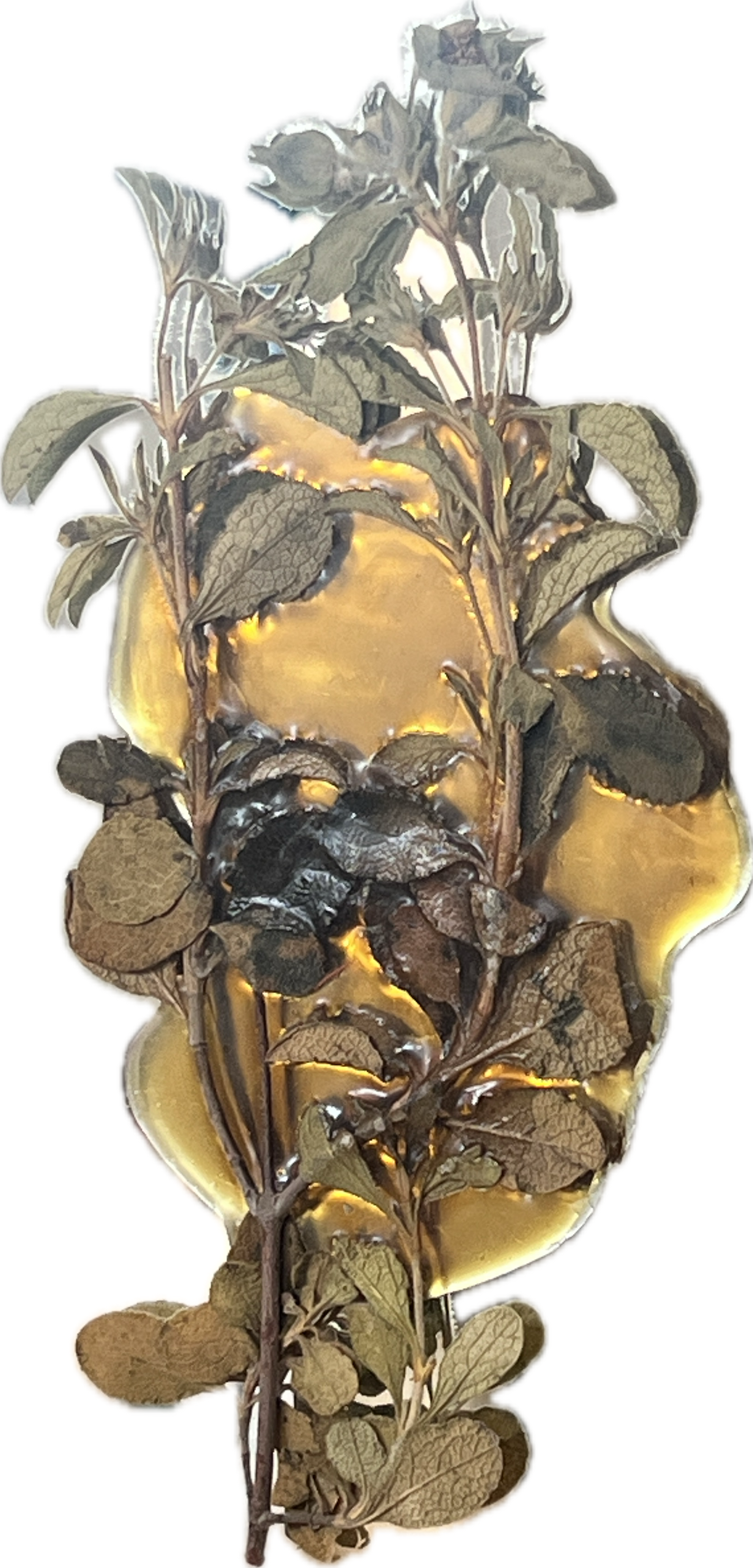 Urgency of actuality