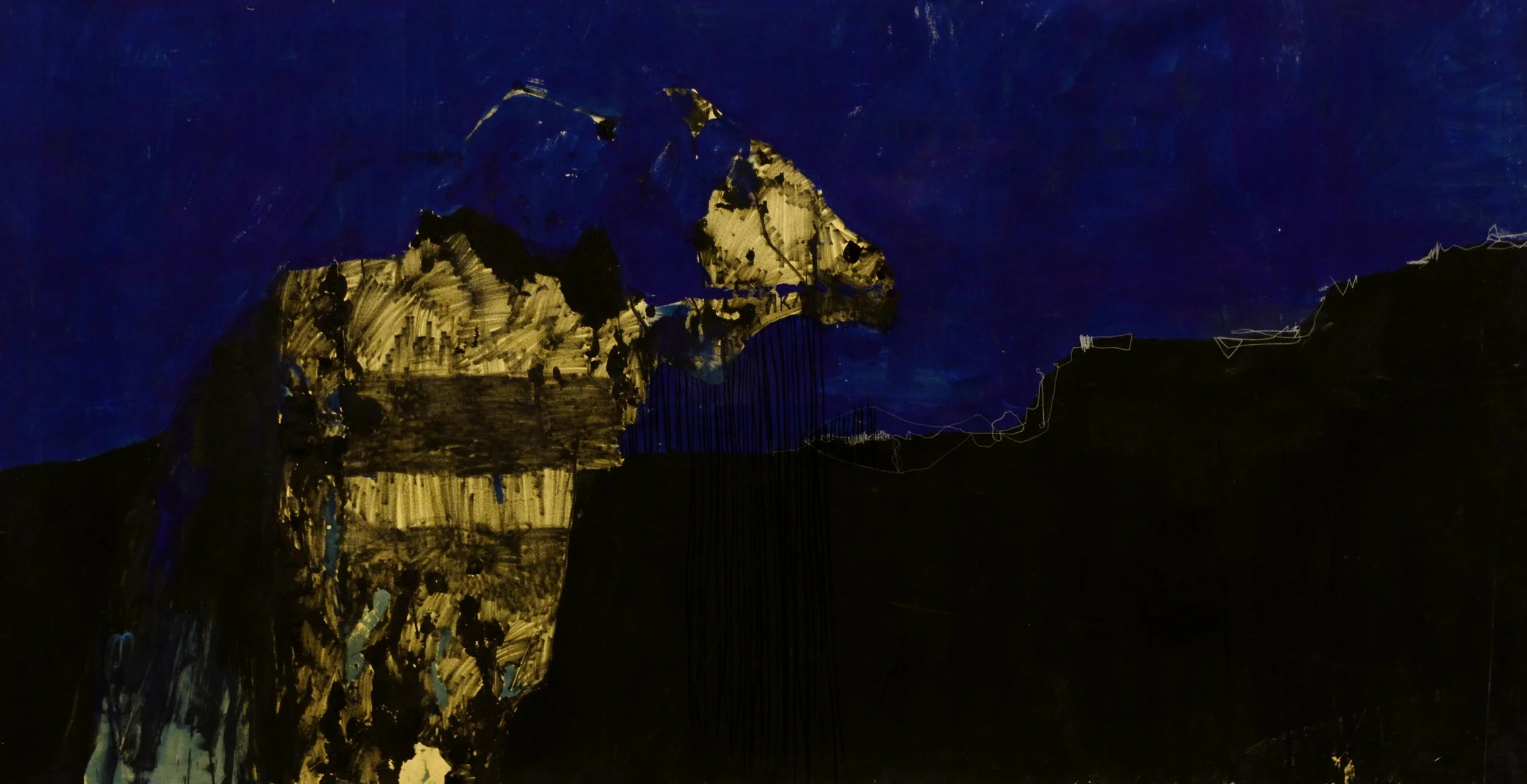 Night come, 2016
300 x 156 cm
Marker , acrylics on fabric