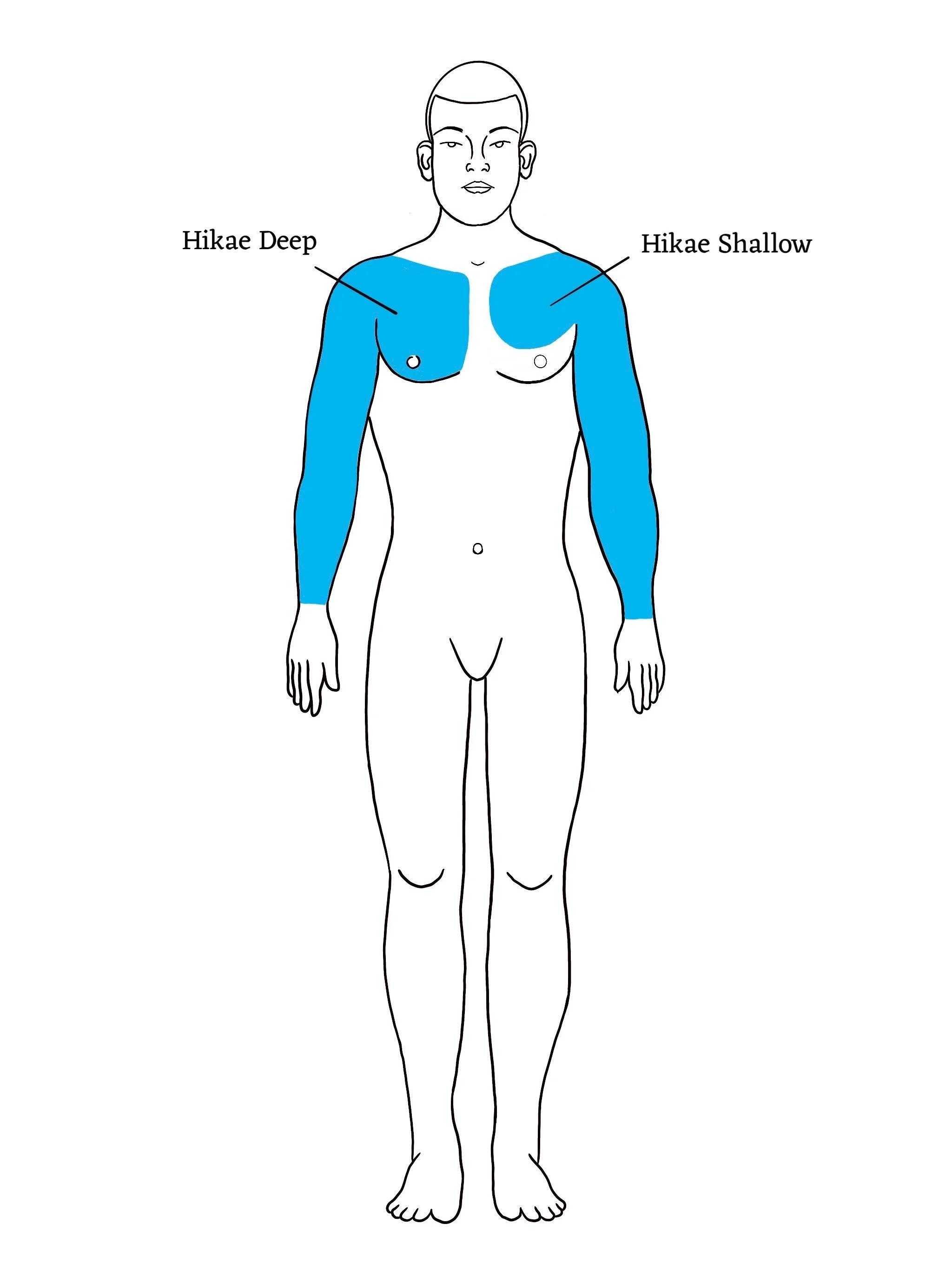 Hikae is the Japanese name of the chest tattoo