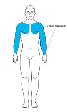 Nagasode is the name for Japanese full sleeve tattoo